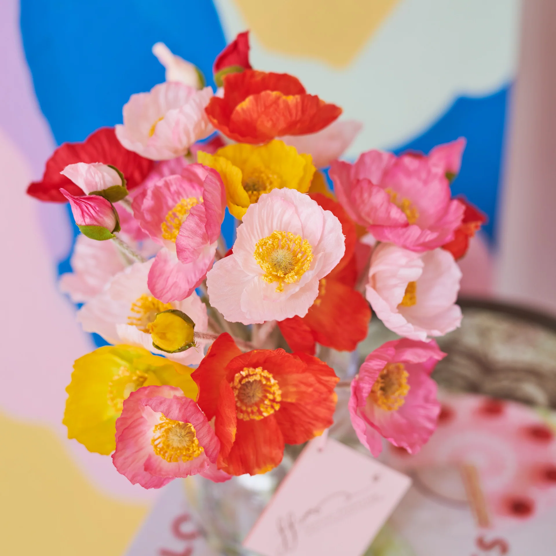 Poppy - Image 5
