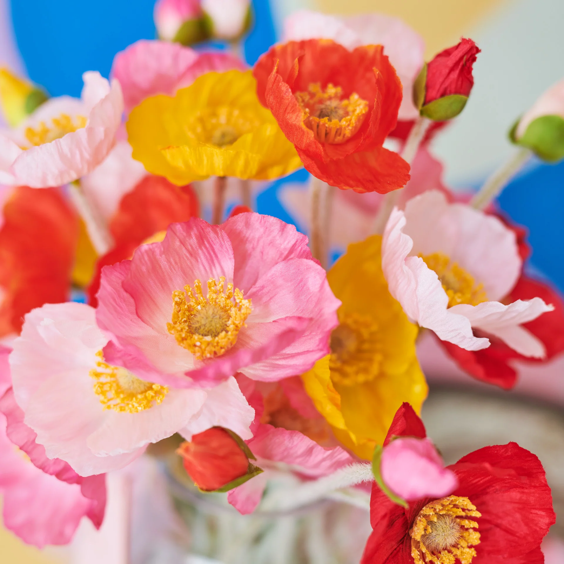 Poppy - Image 6