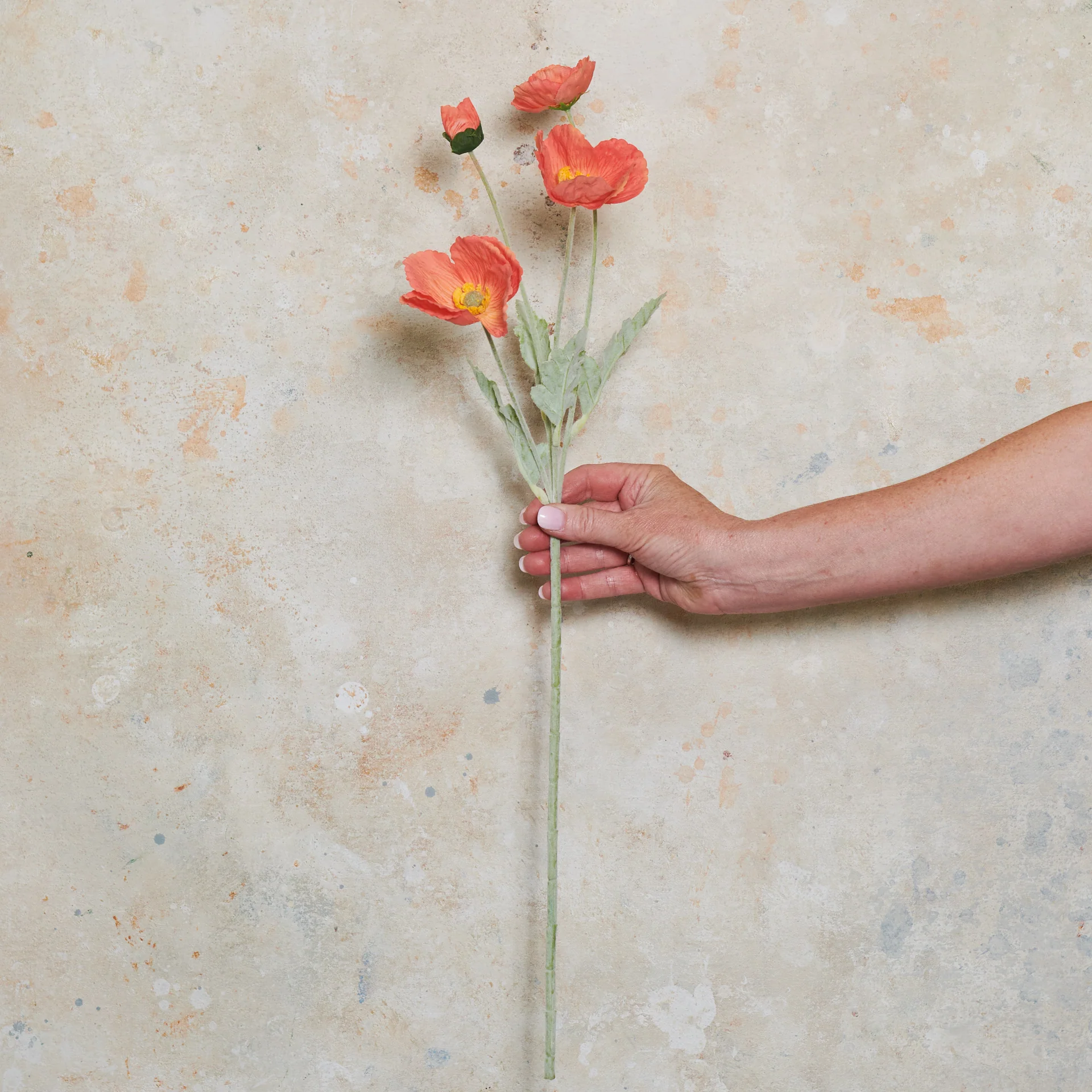 Poppy Real Touch Flower Stem - Image 13