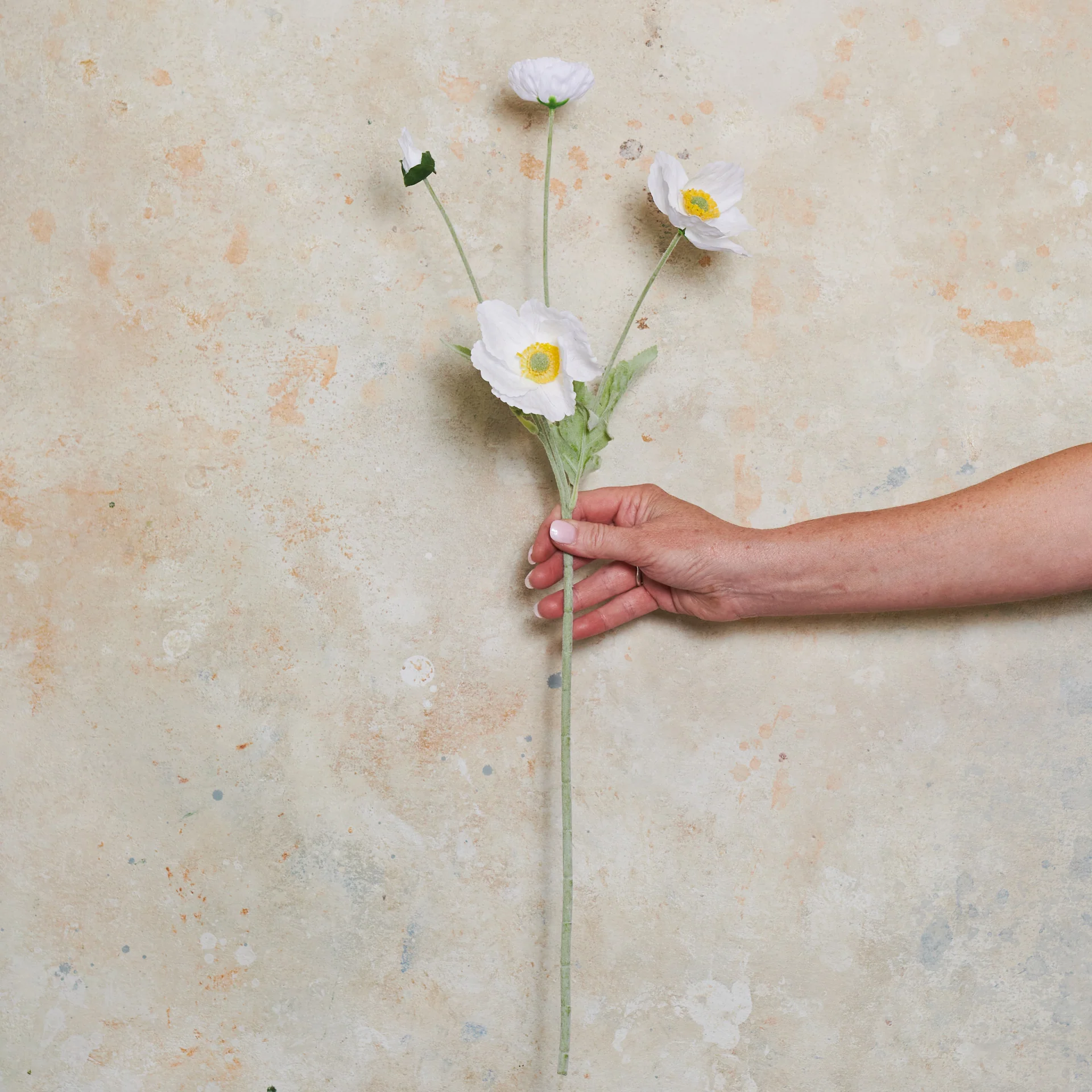 Poppy Real Touch Flower Stem - Image 14