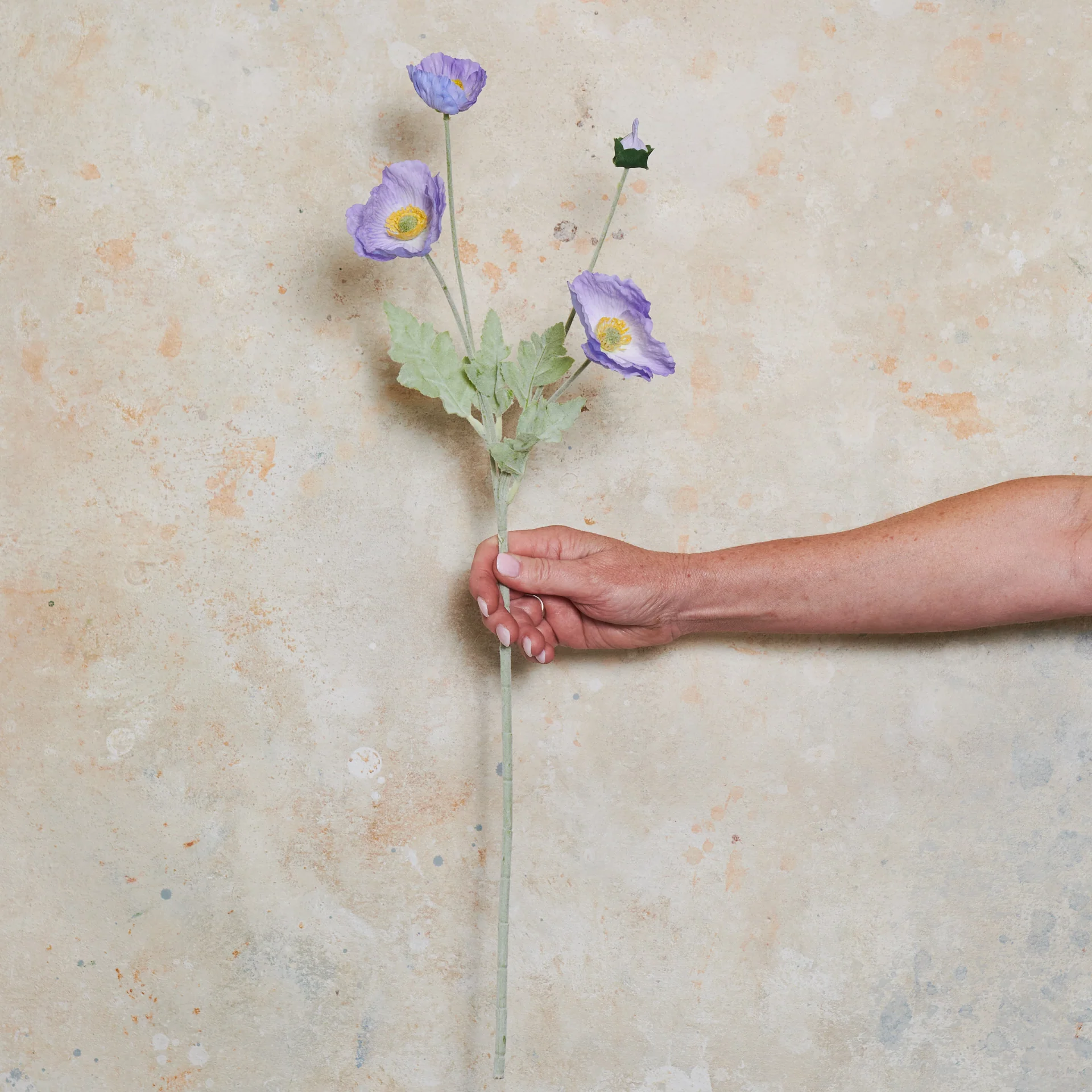 Poppy Real Touch Flower Stem - Image 16