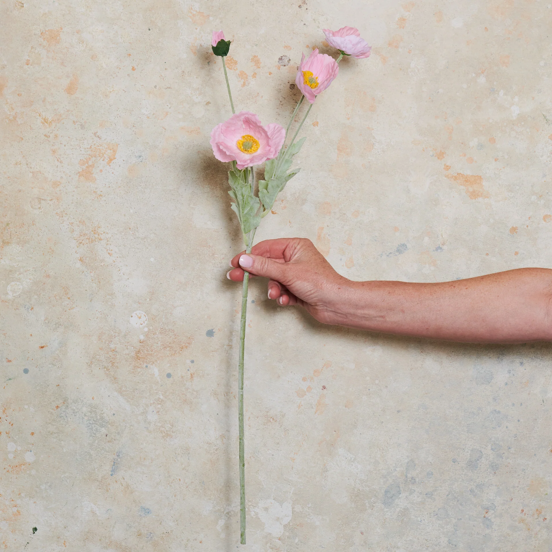 Poppy Real Touch Flower Stem - Image 17
