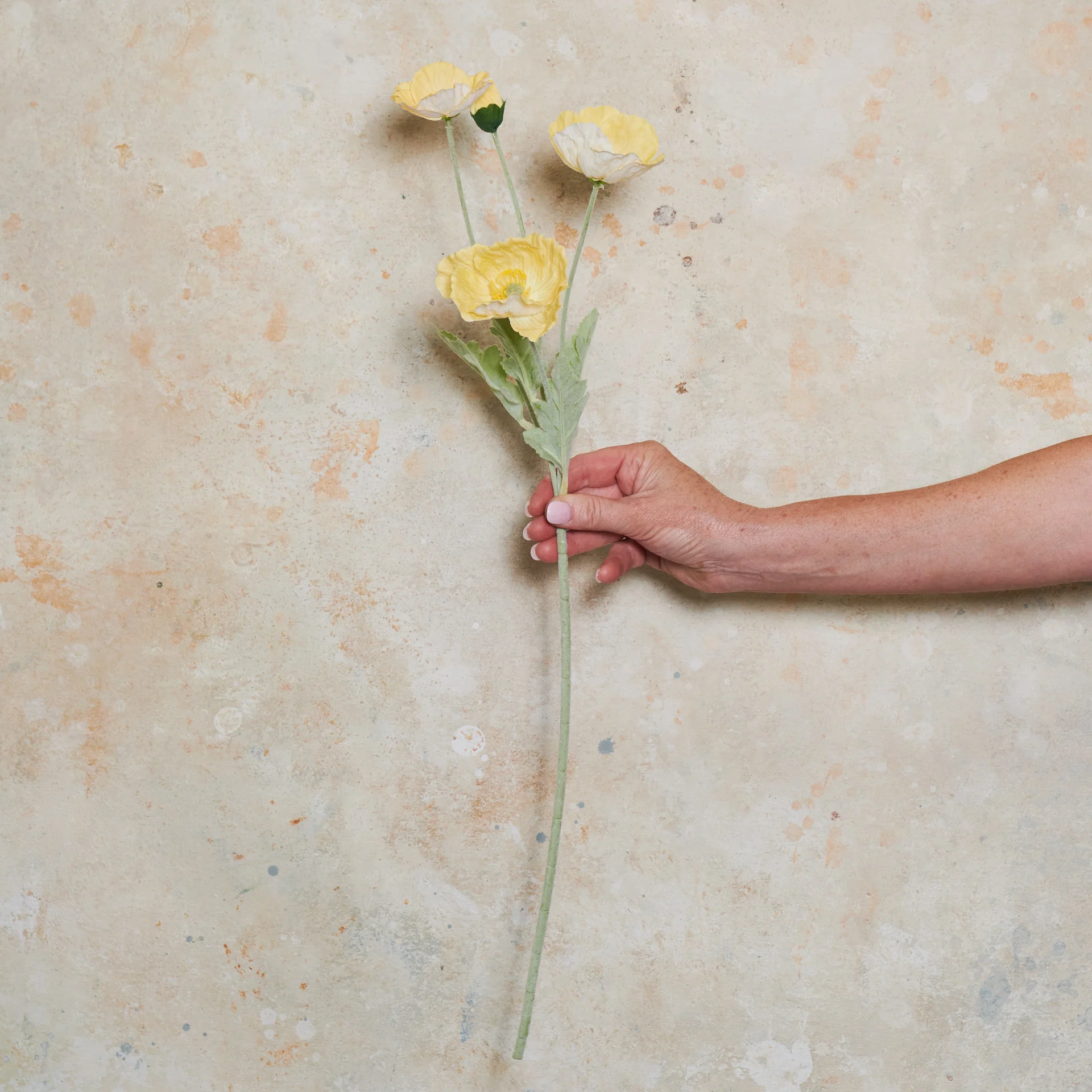 Poppy Real Touch Flower Stem - Image 18