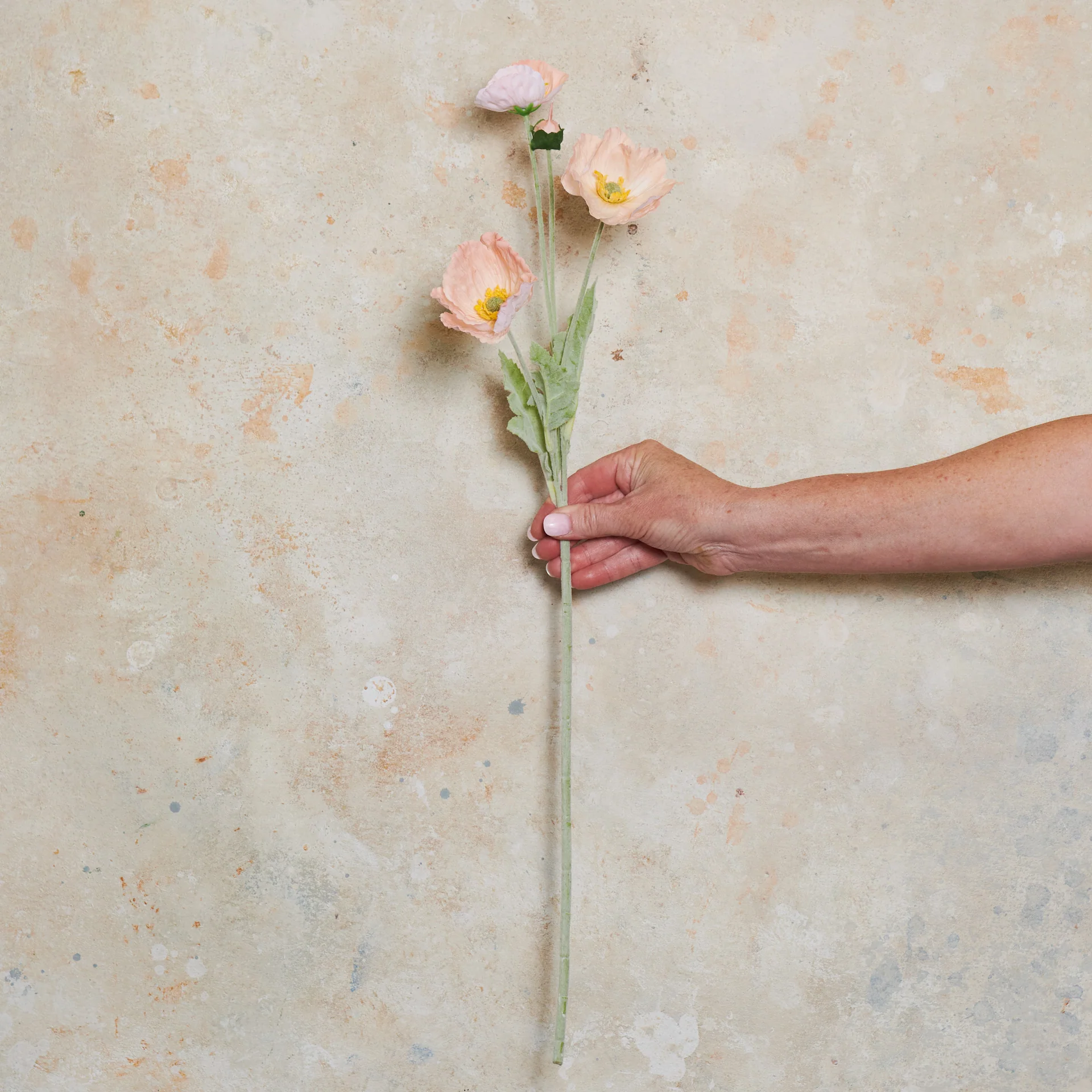Poppy Real Touch Flower Stem - Image 19