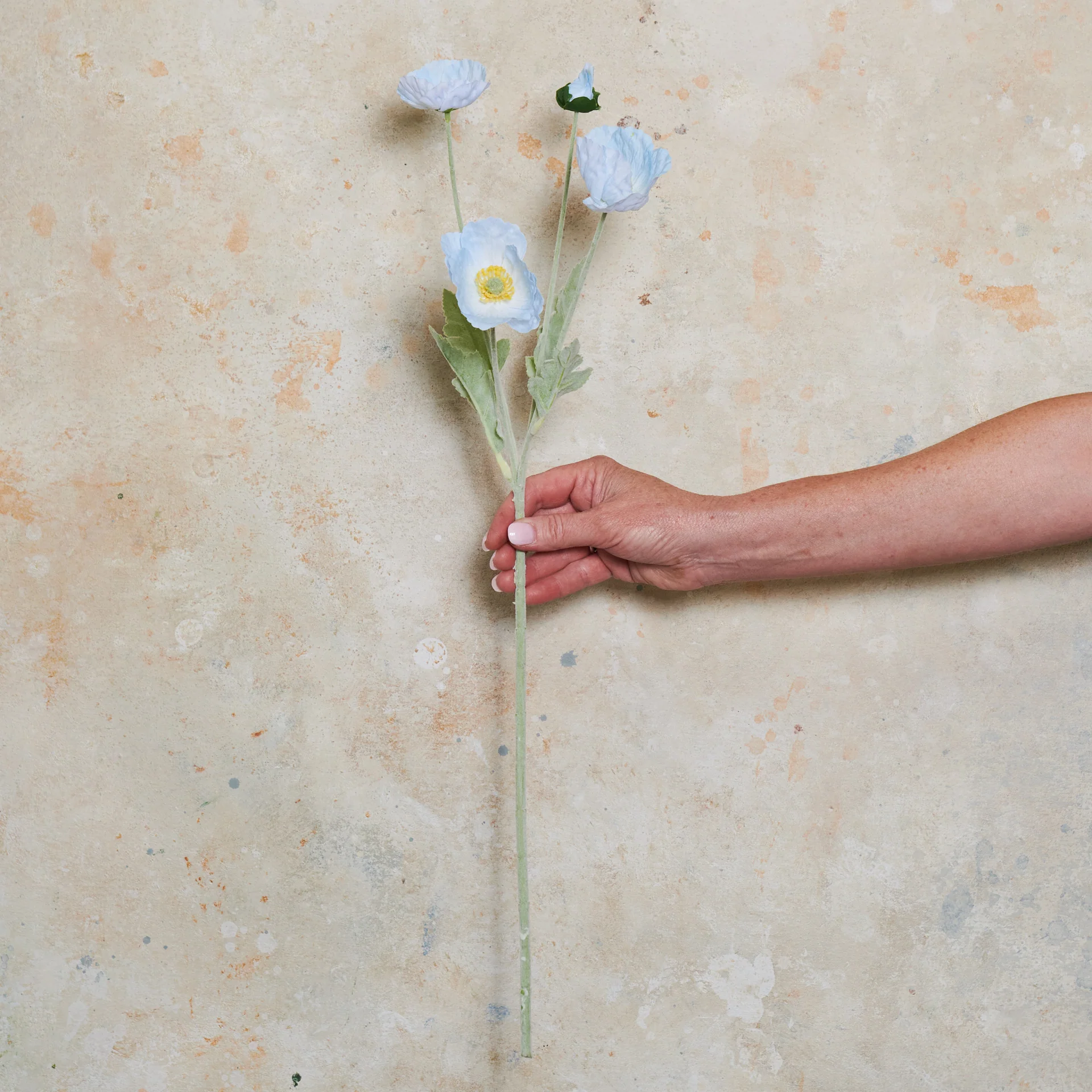 Poppy Real Touch Flower Stem - Image 20