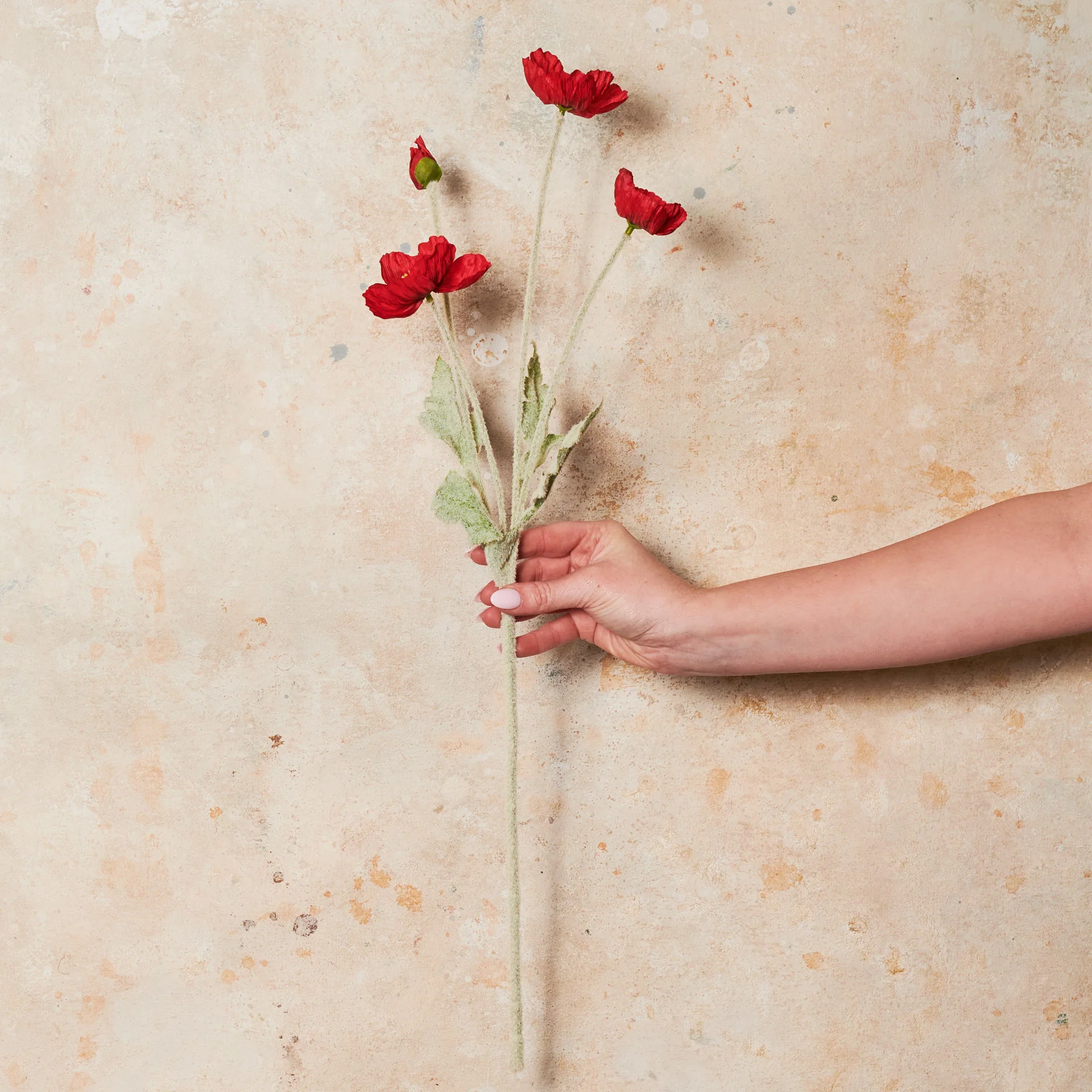 Poppy Real Touch Flower Stem - Image 5
