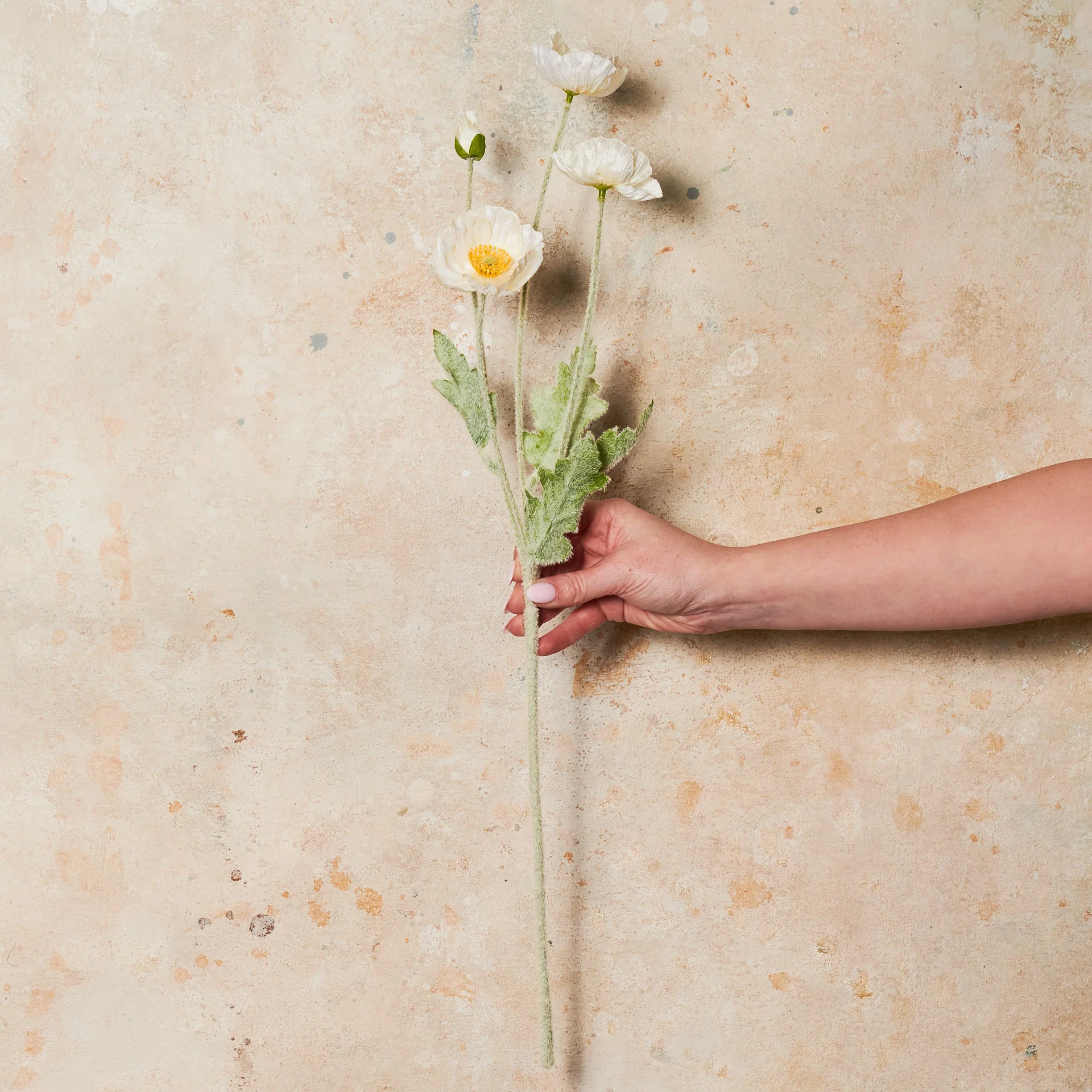 Poppy Real Touch Flower Stem - Image 6