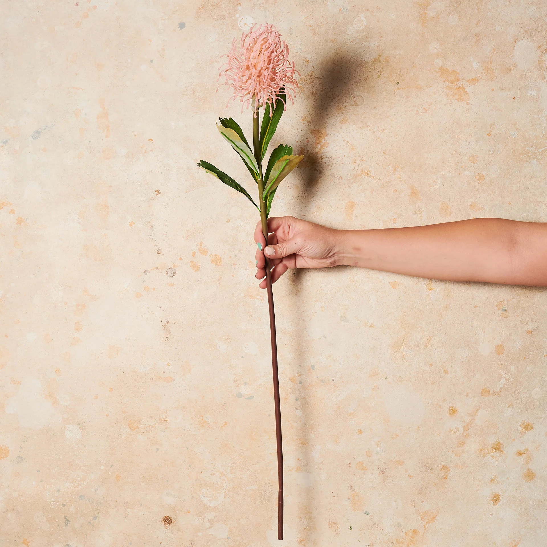 Protea Leucospermum Pin Cushion Real Touch Flower Stem - Image 5