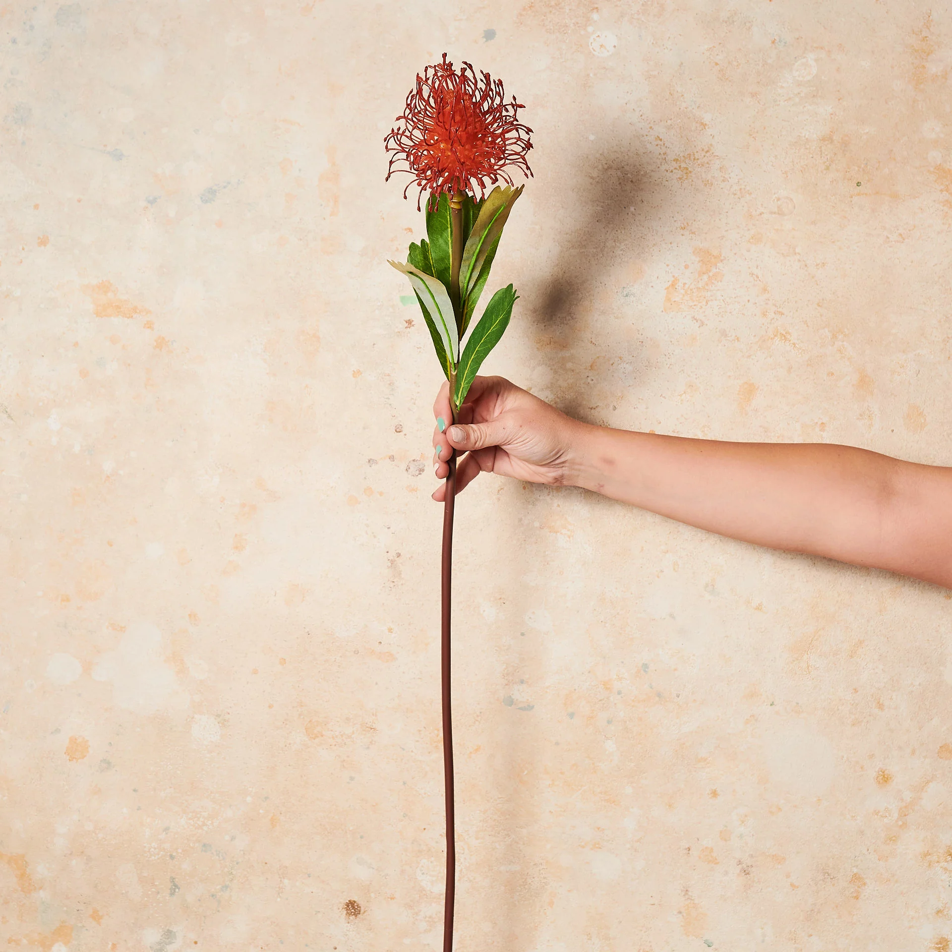 Protea Leucospermum Pin Cushion Real Touch Flower Stem - Image 7