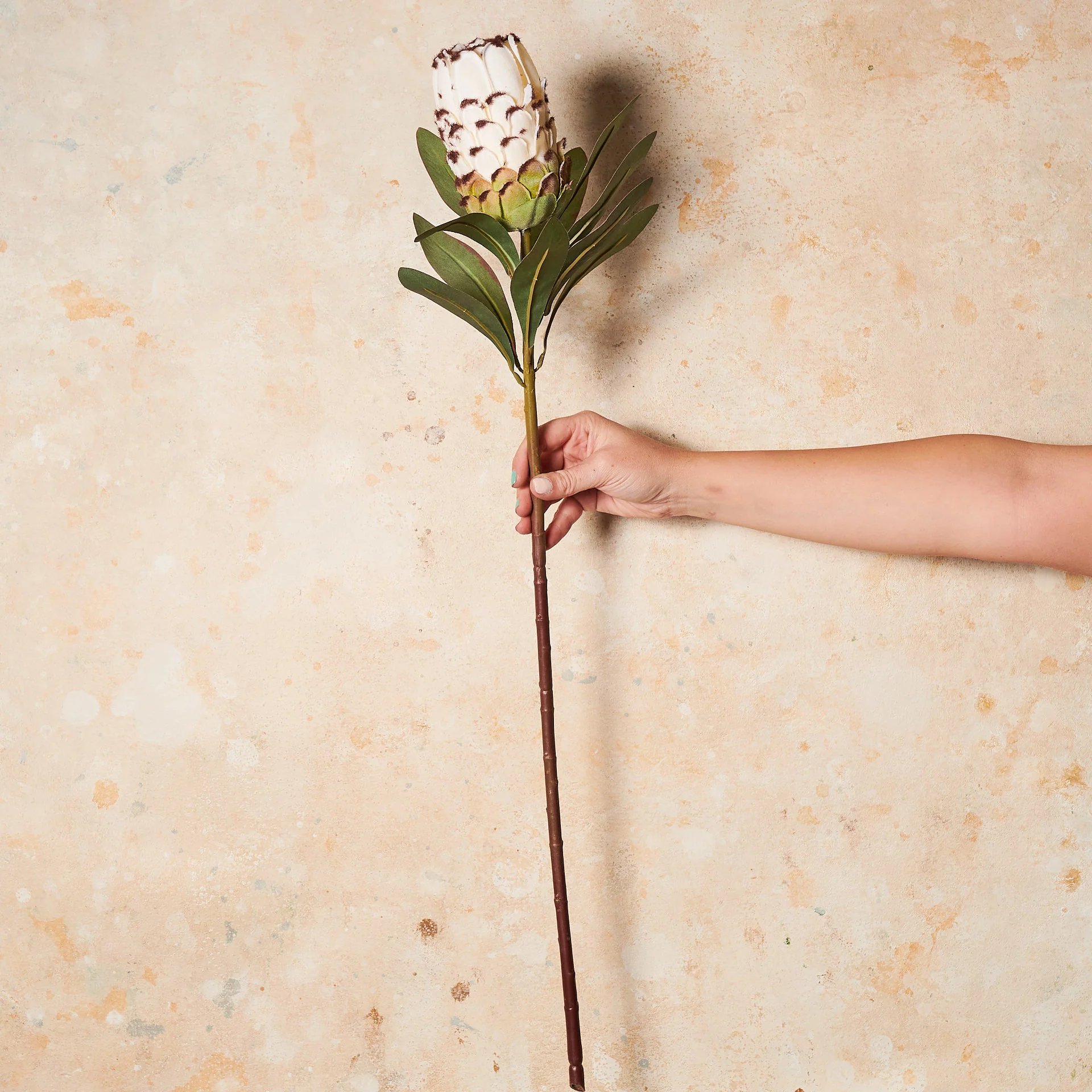 Queen Protea Real Touch Flower Stem - Image 4