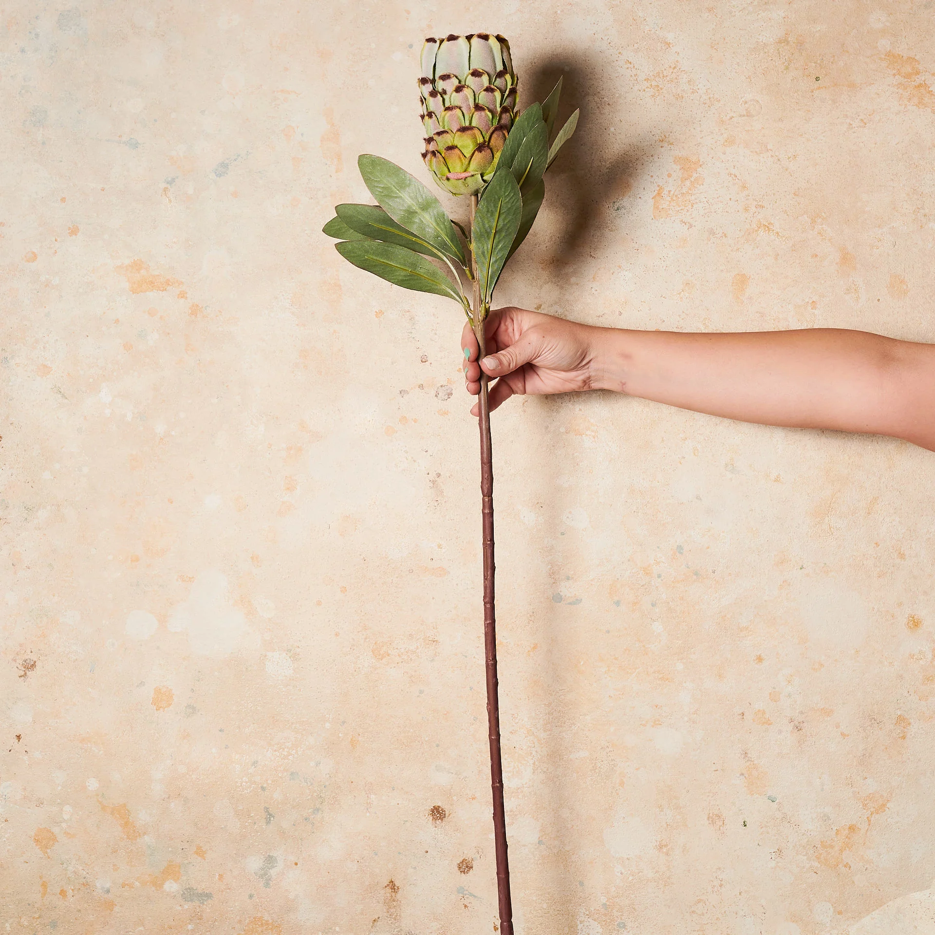 Queen Protea Real Touch Flower Stem - Image 5