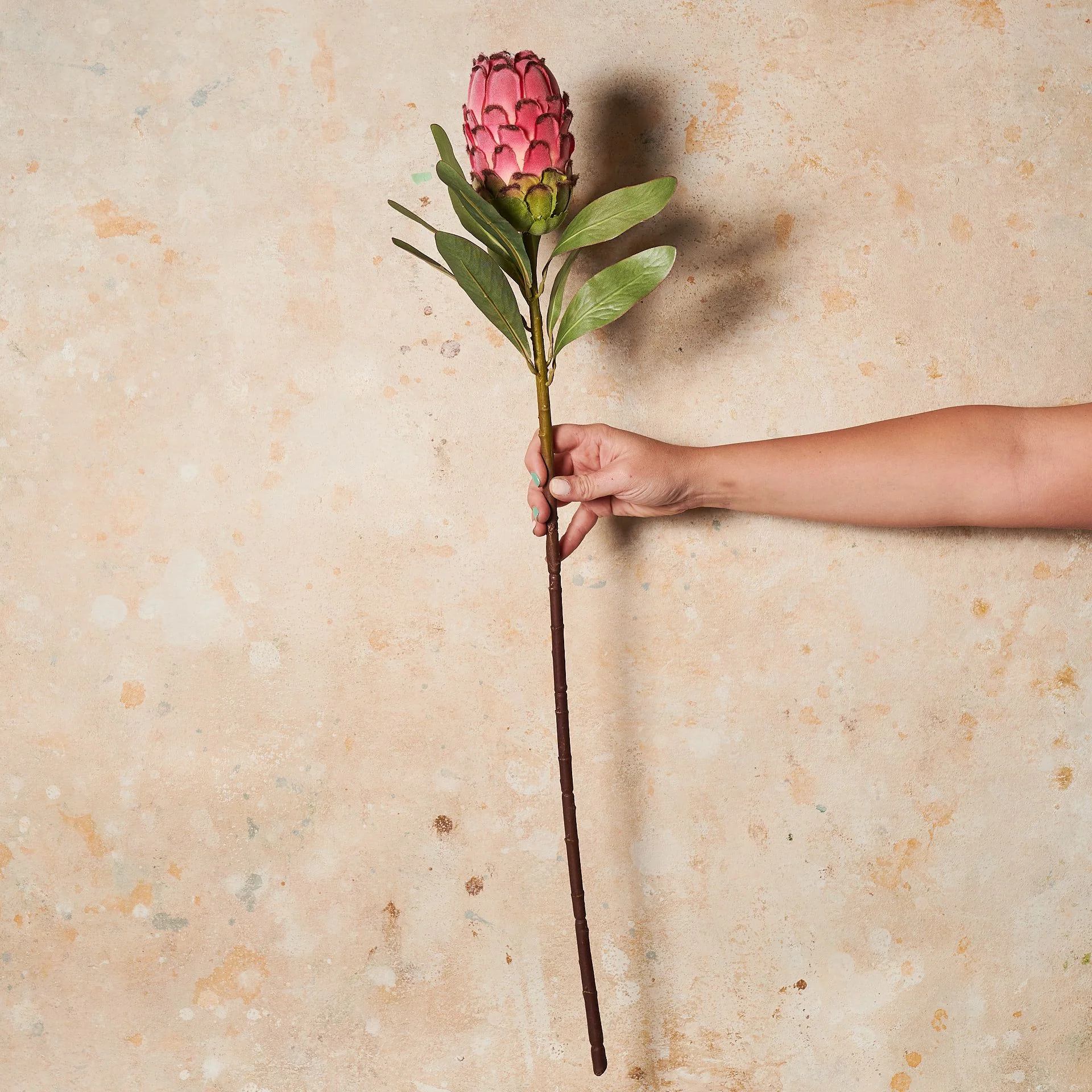Queen Protea Real Touch Flower Stem - Image 6