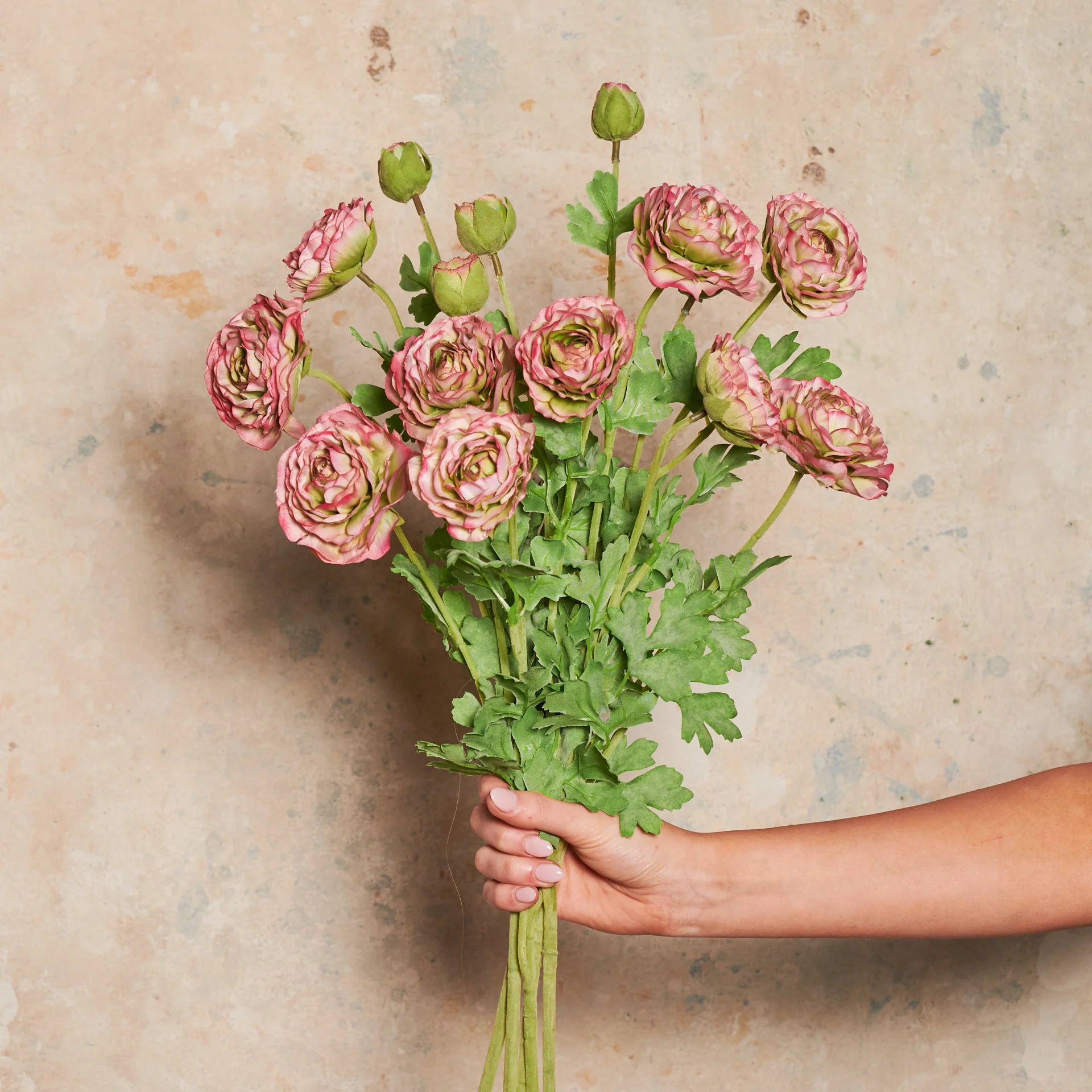 Ranunculus Flower Real Touch Flower Stem - Image 2