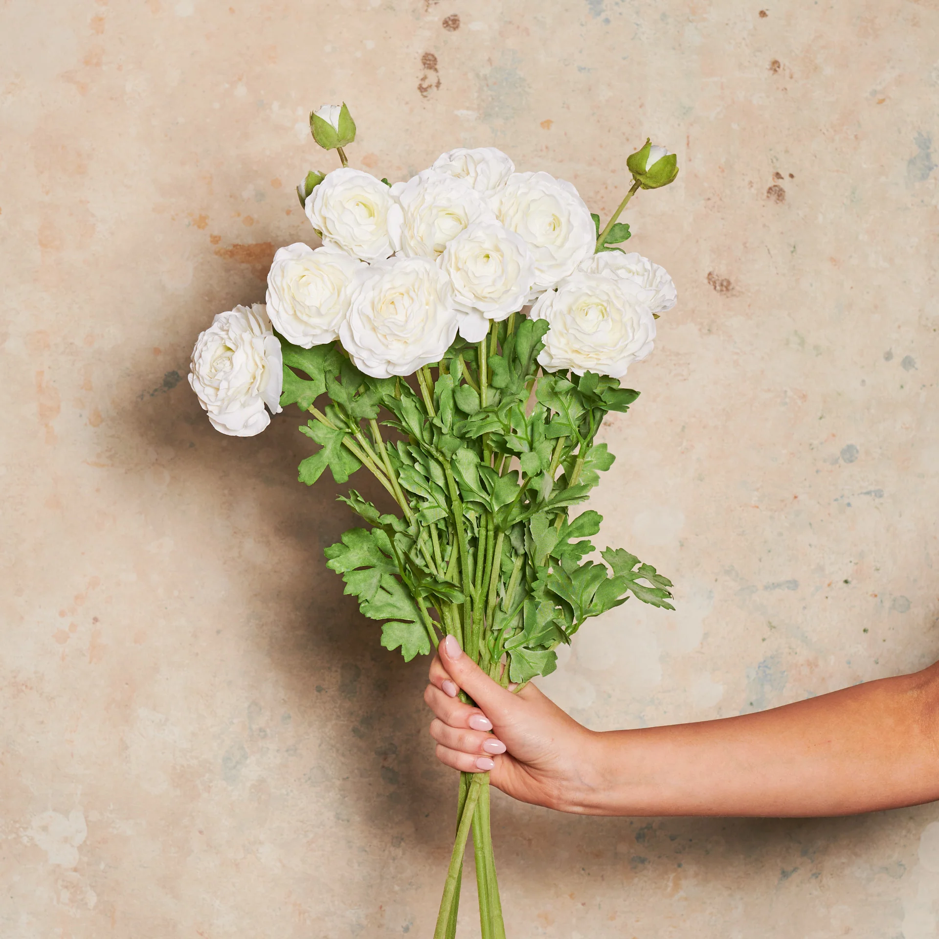Ranunculus Flower Real Touch Flower Stem - Image 4