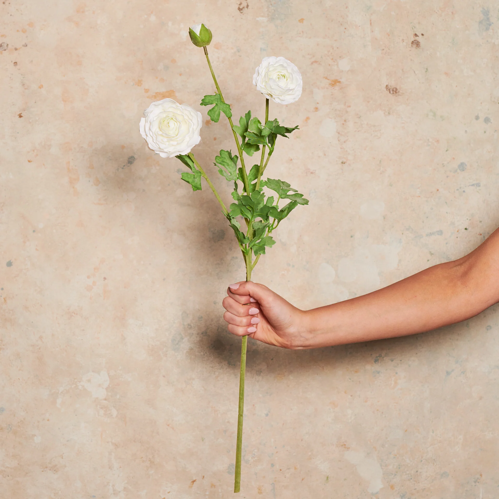 Ranunculus Flower Real Touch Flower Stem - Image 5