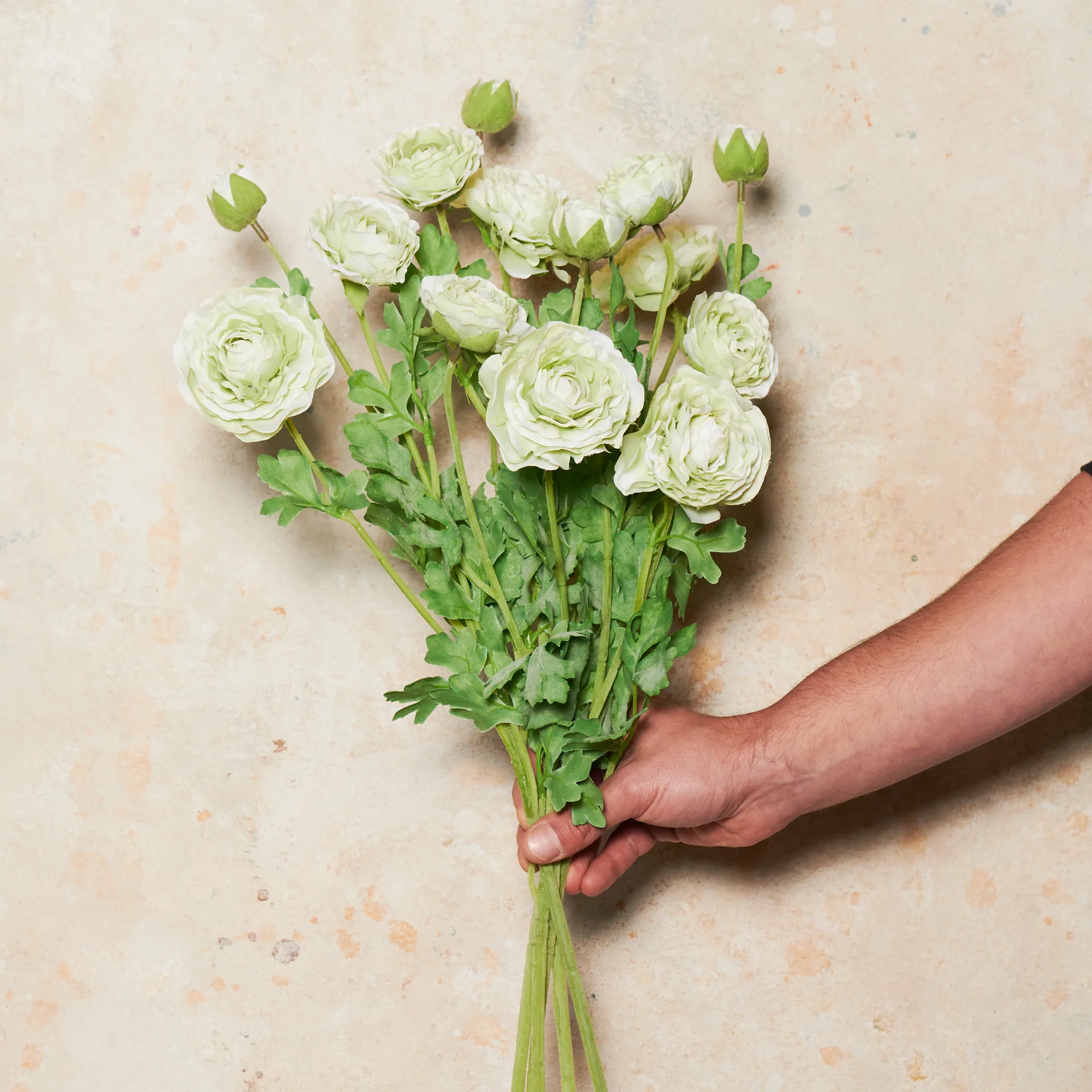 Ranunculus Flower Real Touch Flower Stem - Image 6