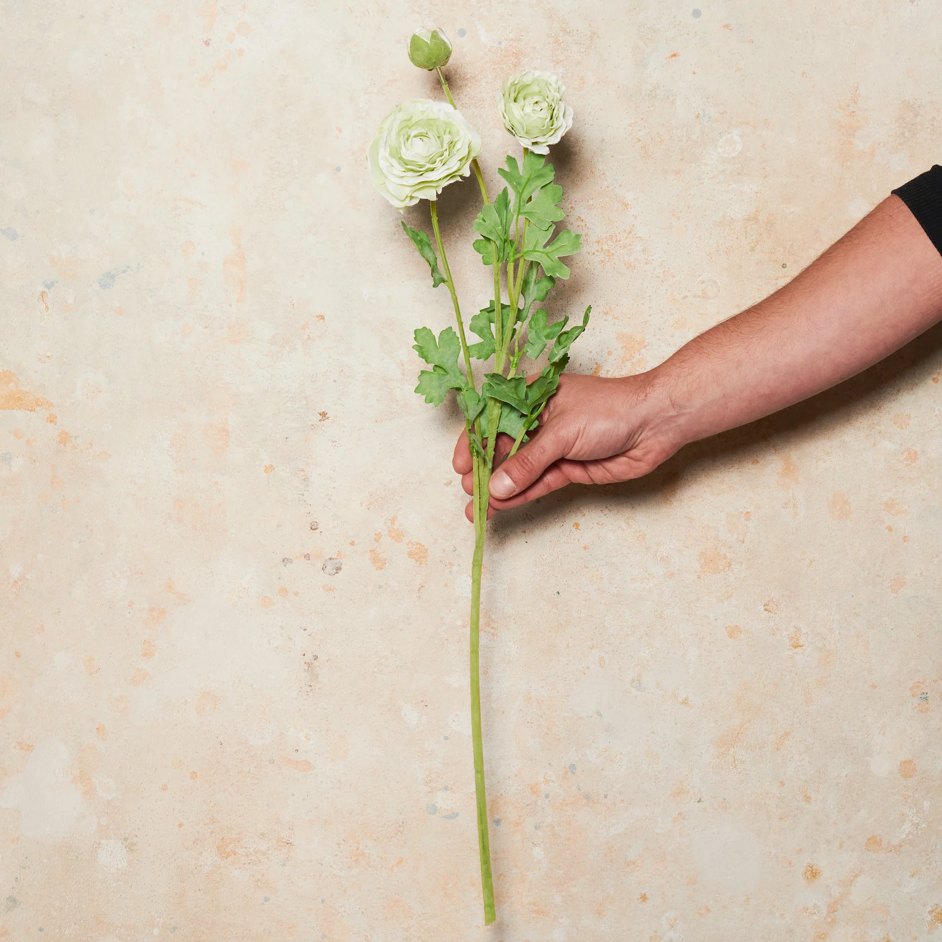 Ranunculus Flower Real Touch Flower Stem - Image 7