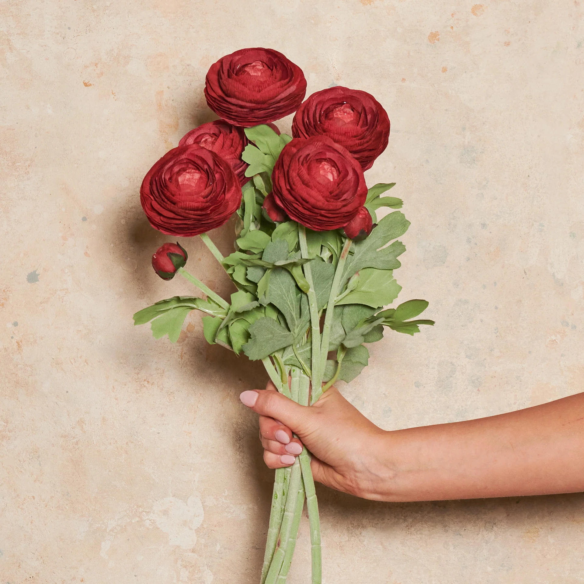 Ranunculus Real Touch Flower Stem - Image 10