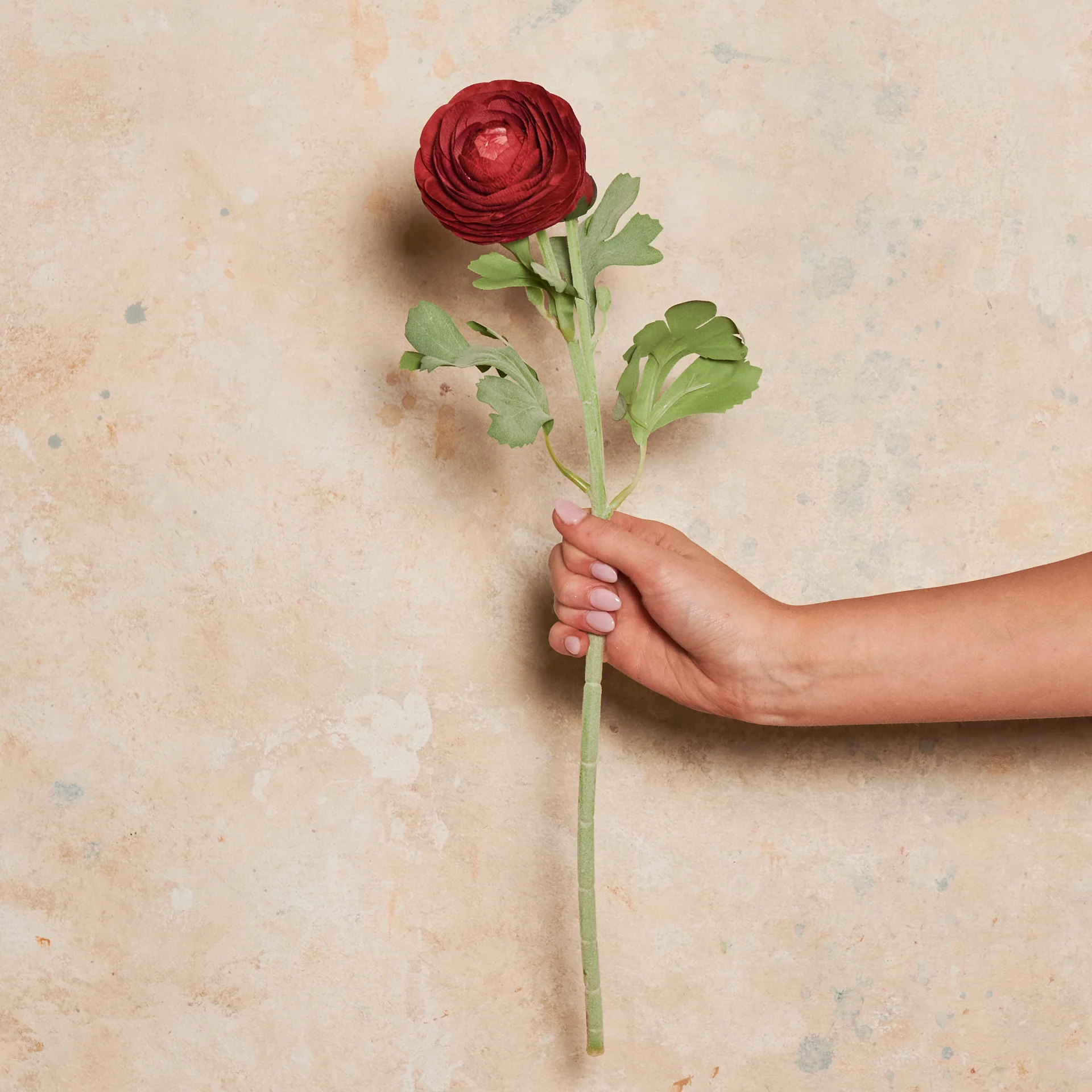 Ranunculus Real Touch Flower Stem - Image 11