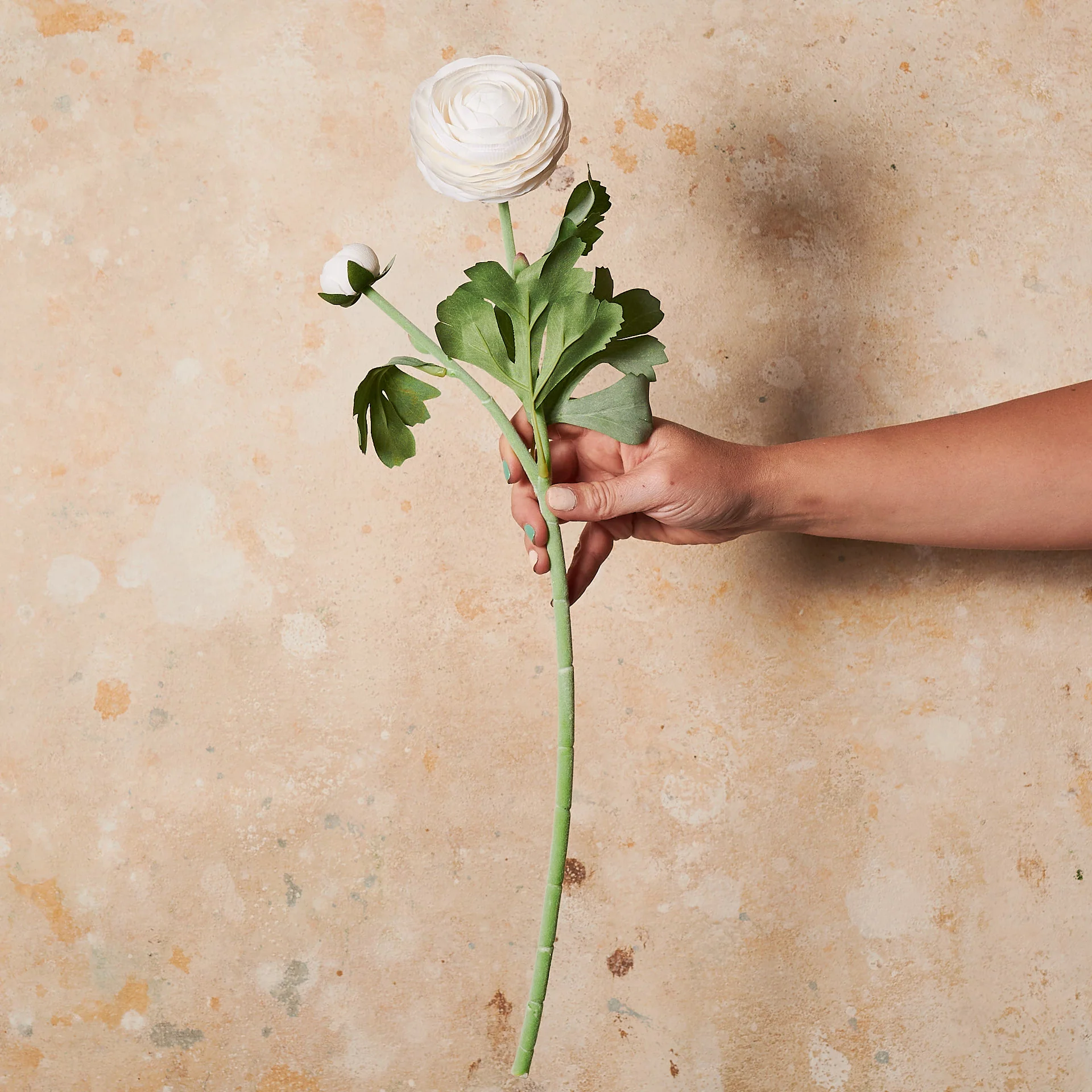 Ranunculus Real Touch Flower Stem - Image 4