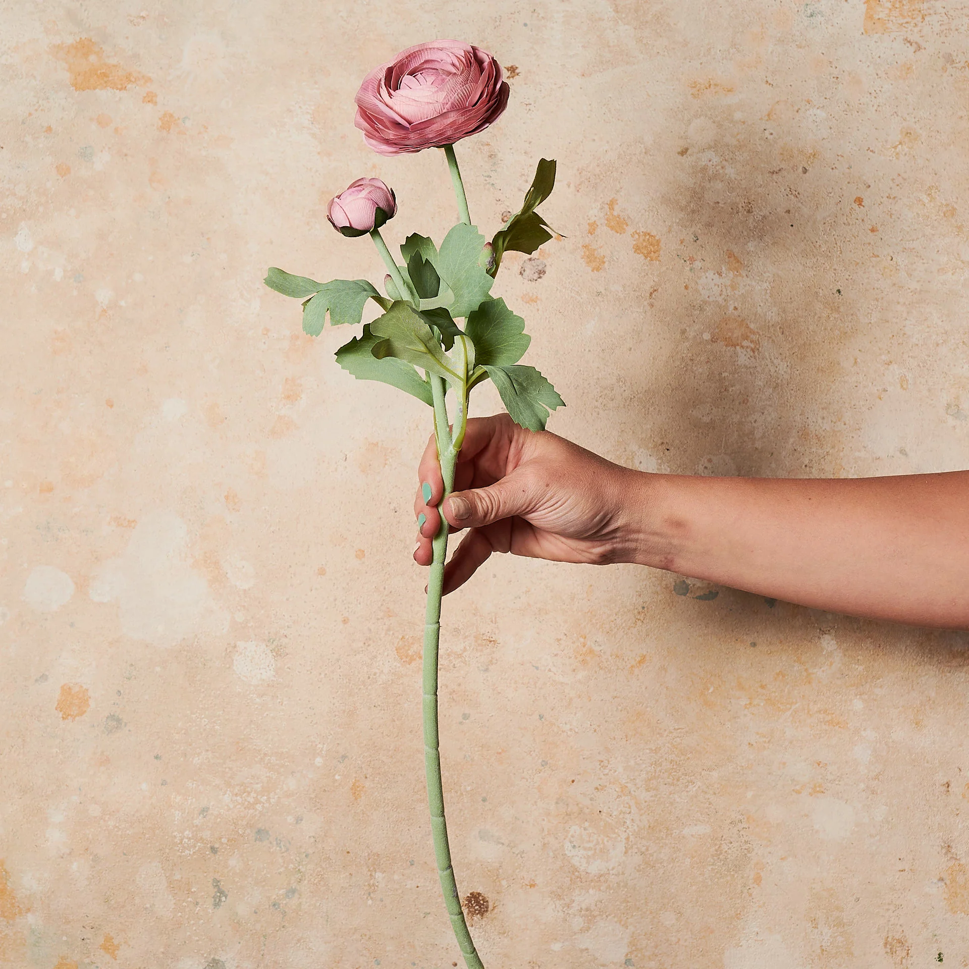 Ranunculus Real Touch Flower Stem - Image 5