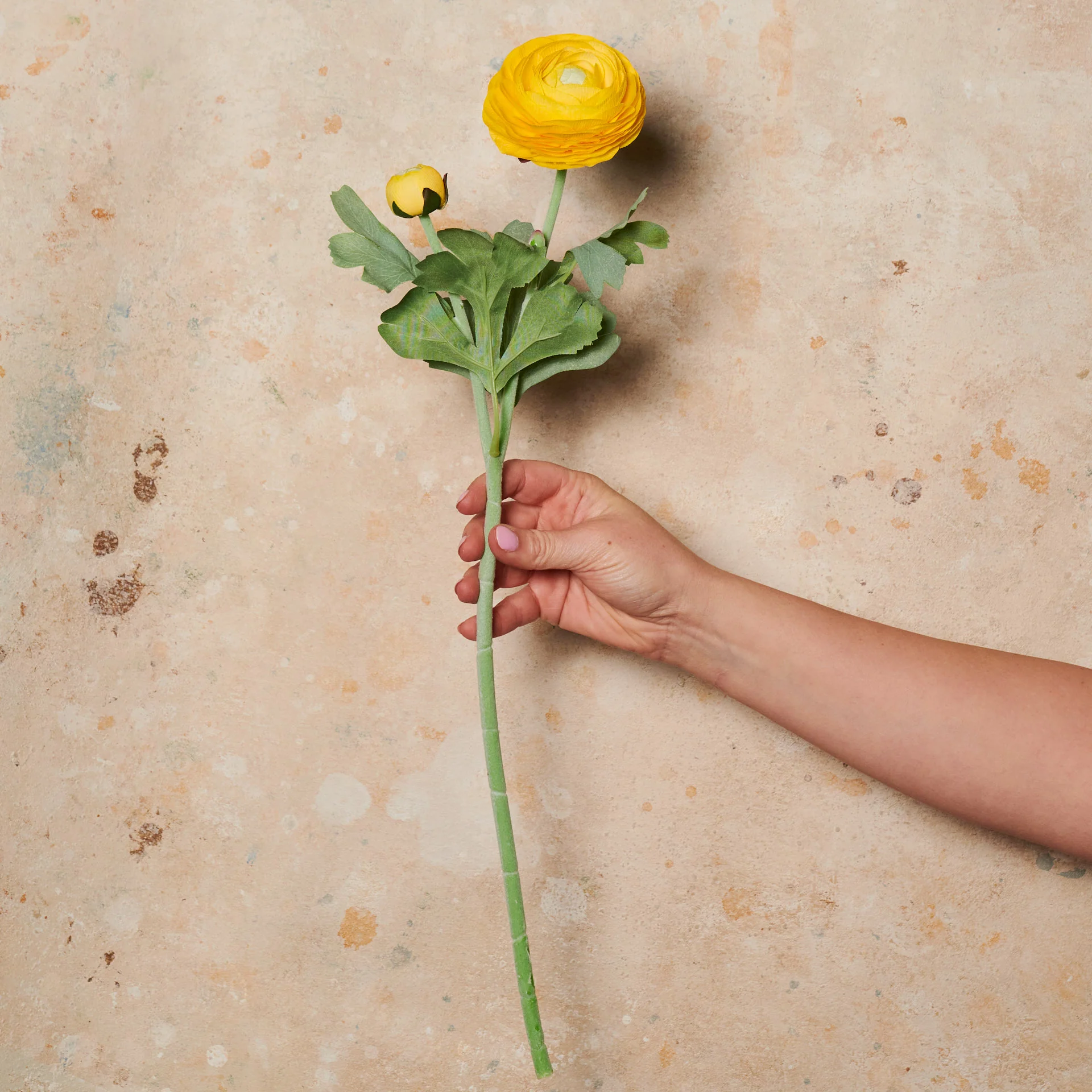 Ranunculus Real Touch Flower Stem - Image 7