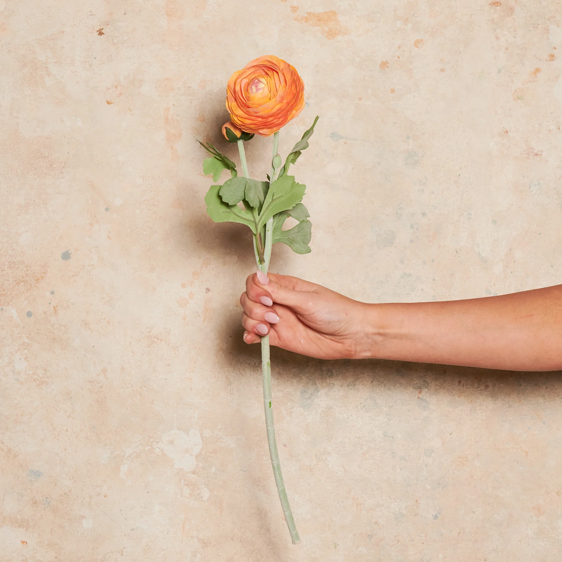 Ranunculus Real Touch Flower Stem - Image 9