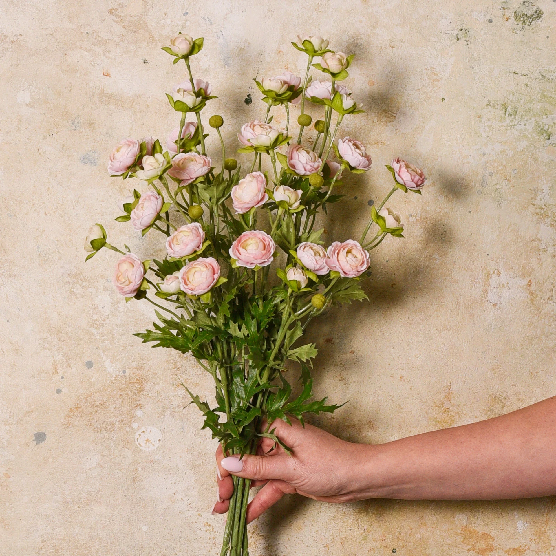 Ranunculus Spray Flower Stem - Image 2