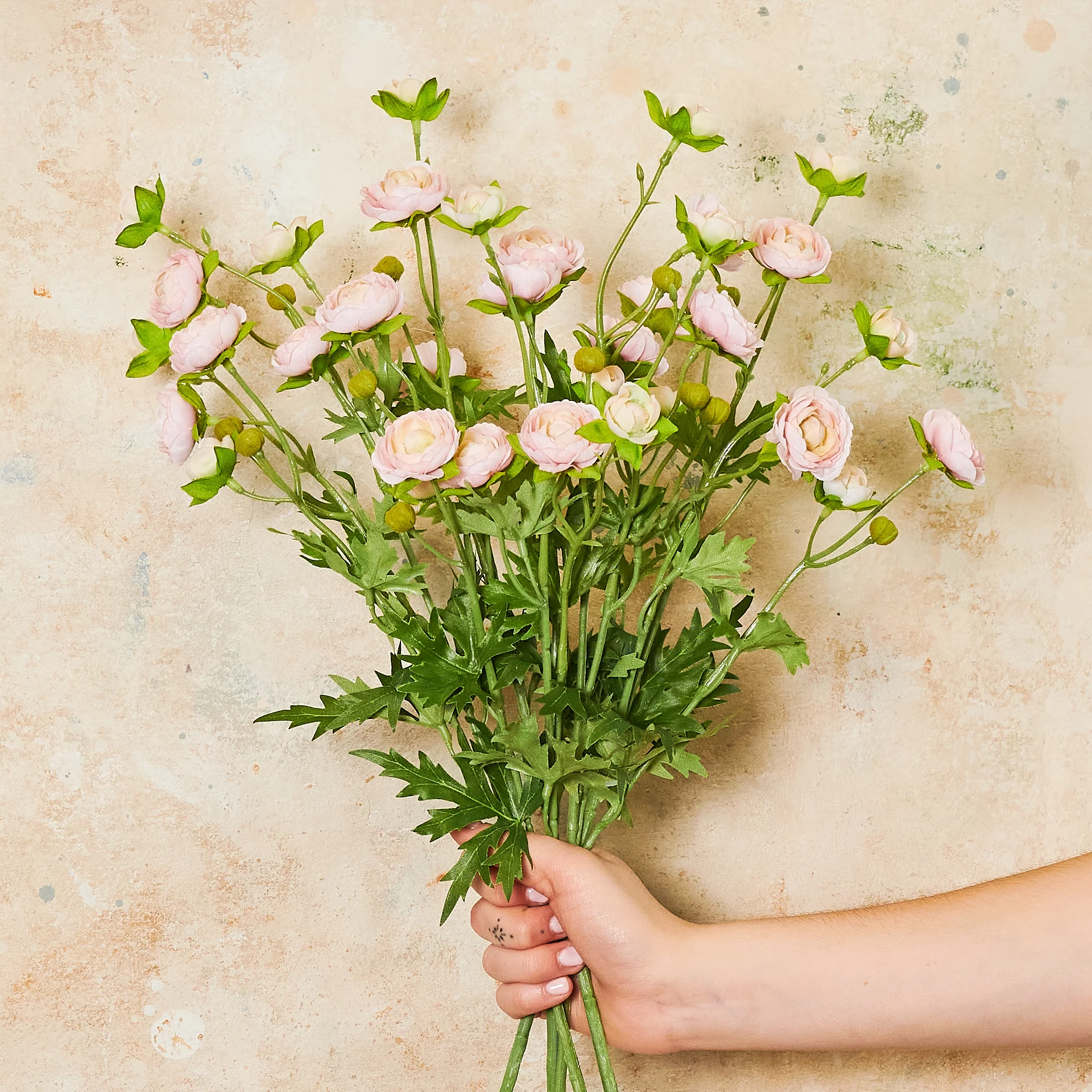 Ranunculus Spray Flower Stem - Image 4