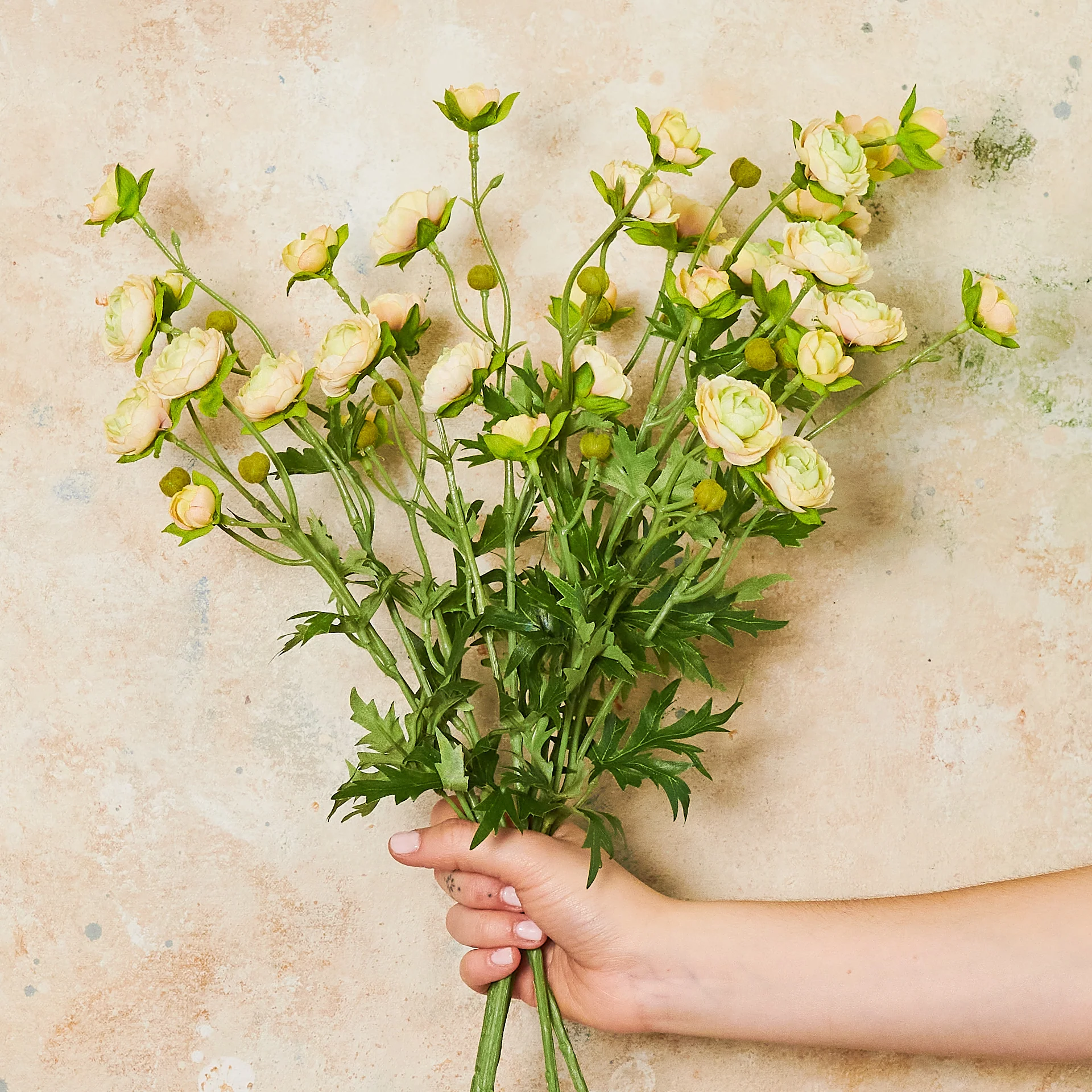 Ranunculus Spray Flower Stem - Image 6
