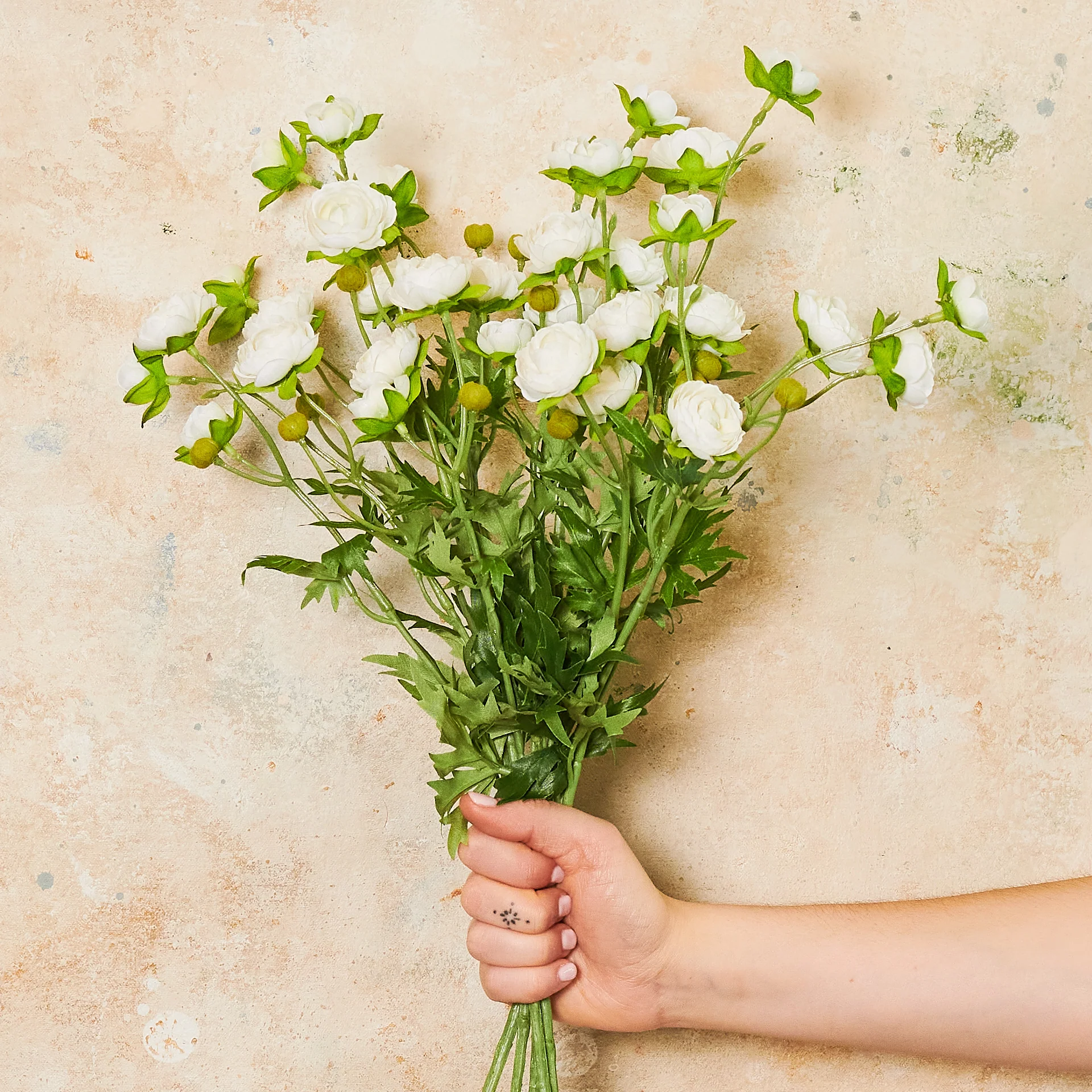 Ranunculus Spray Flower Stem - Image 7