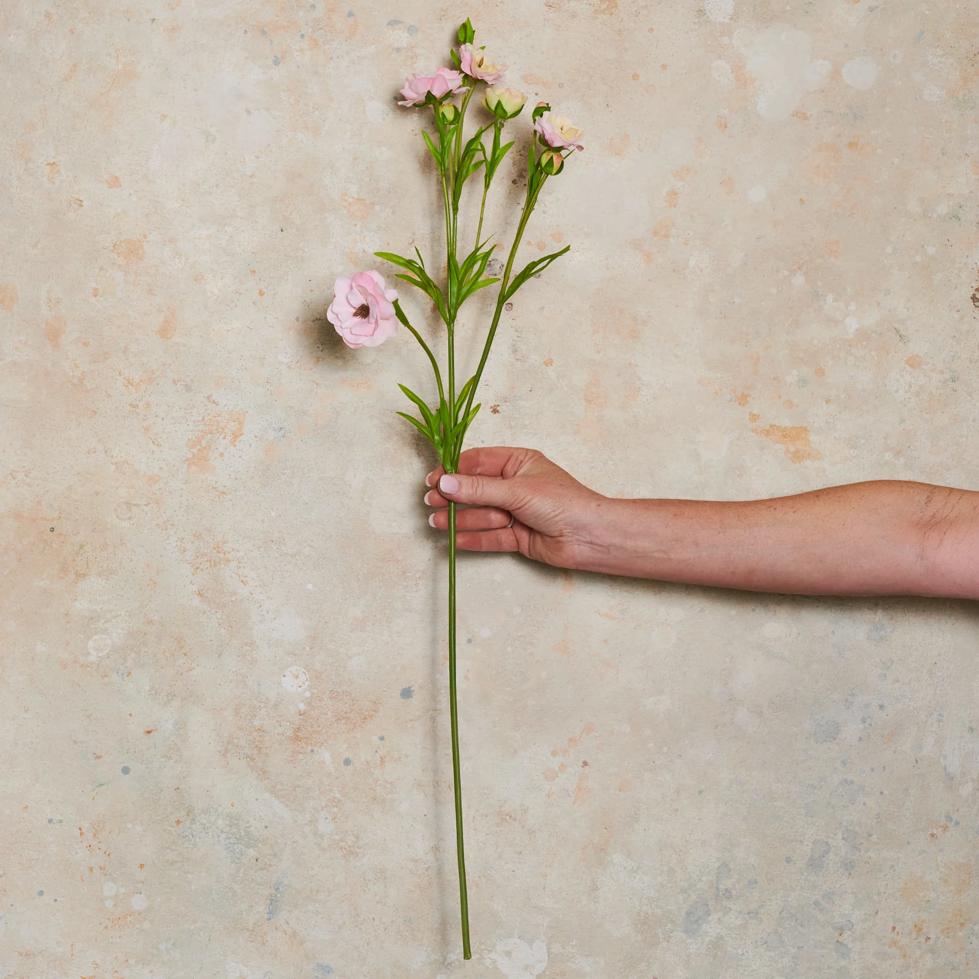 Ranunculus Spring Spray Real Touch Flower Stem - Image 2