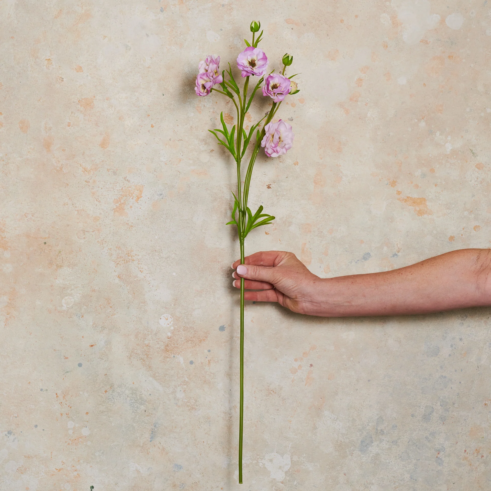 Ranunculus Spring Spray Real Touch Flower Stem - Image 3