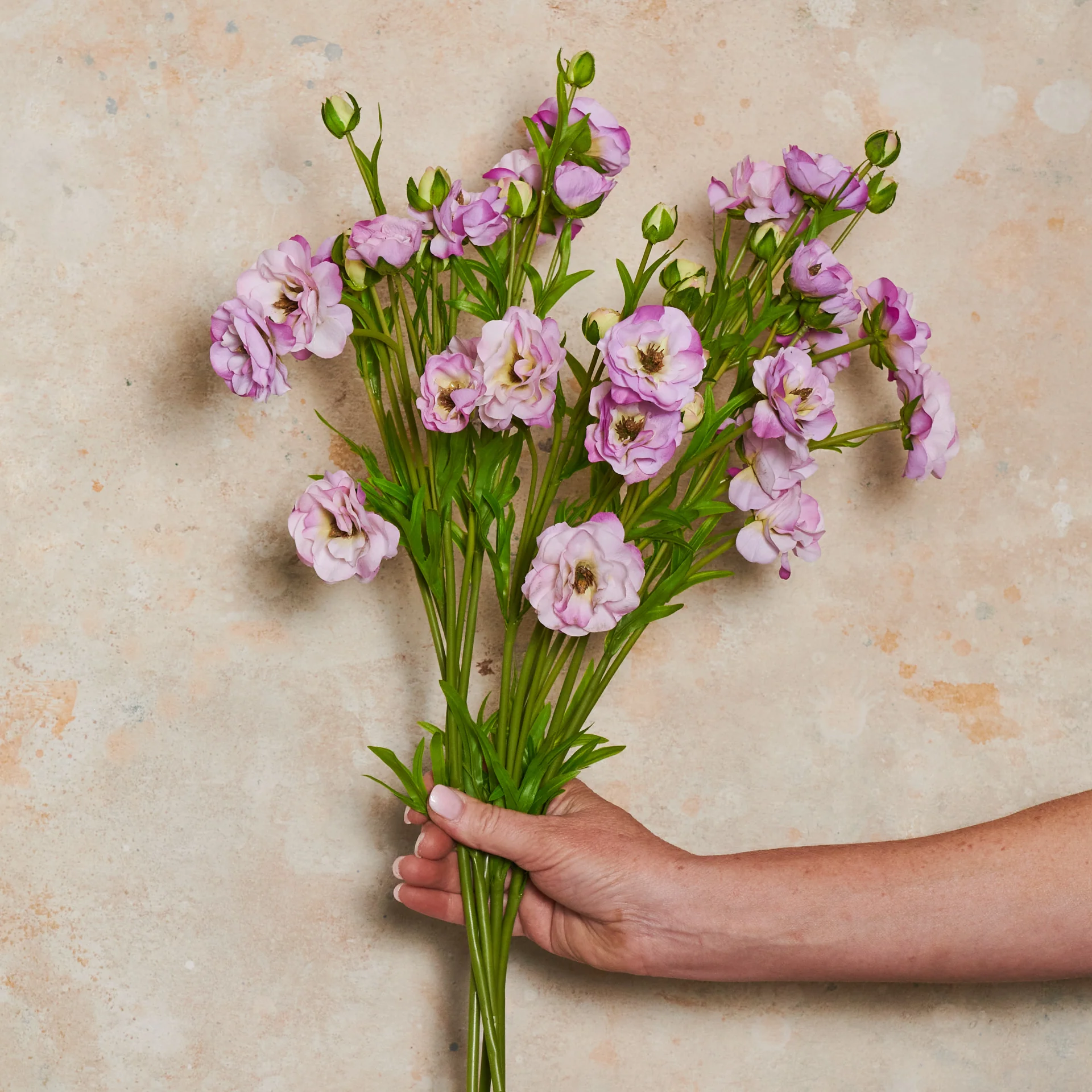 Ranunculus Spring Spray Real Touch Flower Stem - Image 4