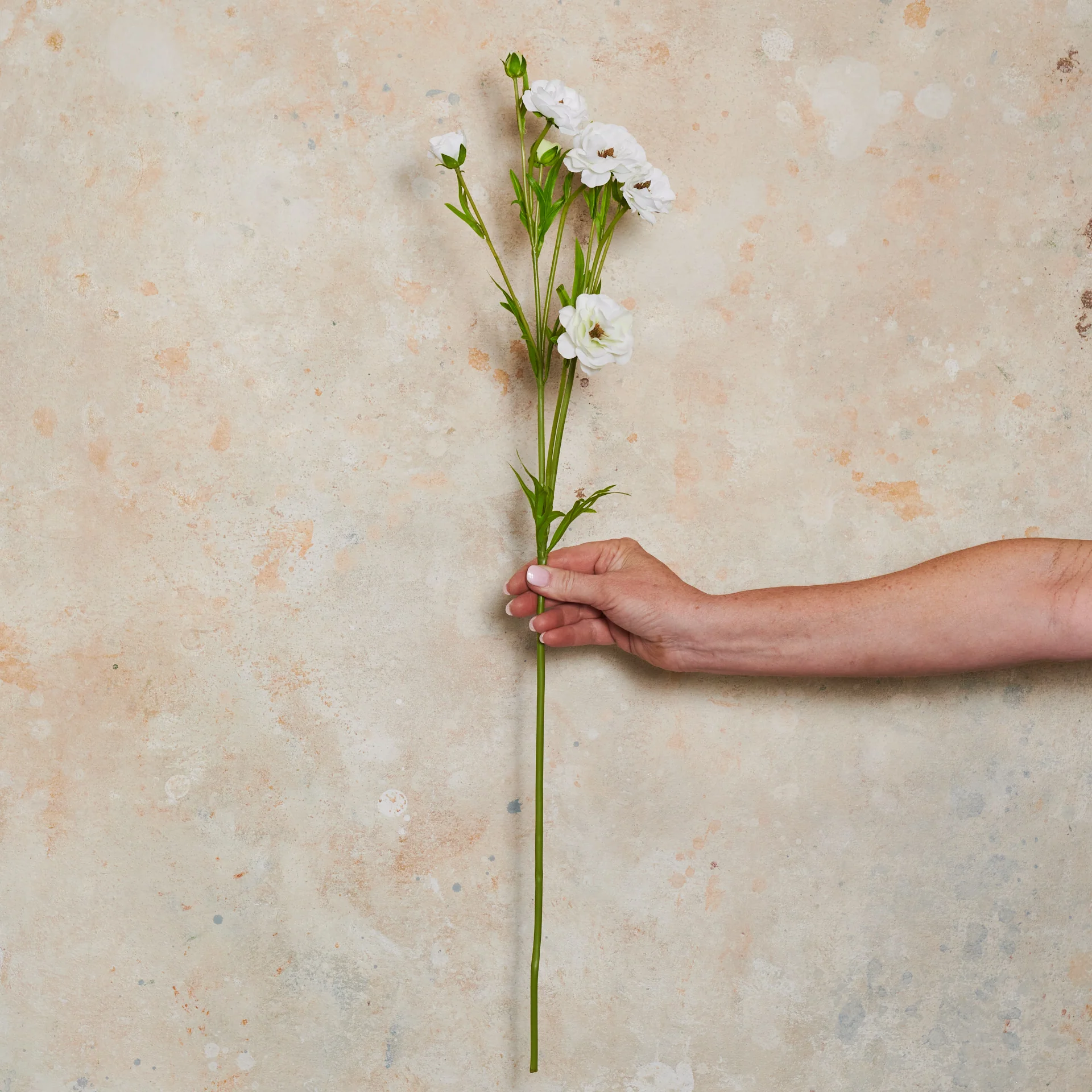 Ranunculus Spring Spray Real Touch Flower Stem - Image 8