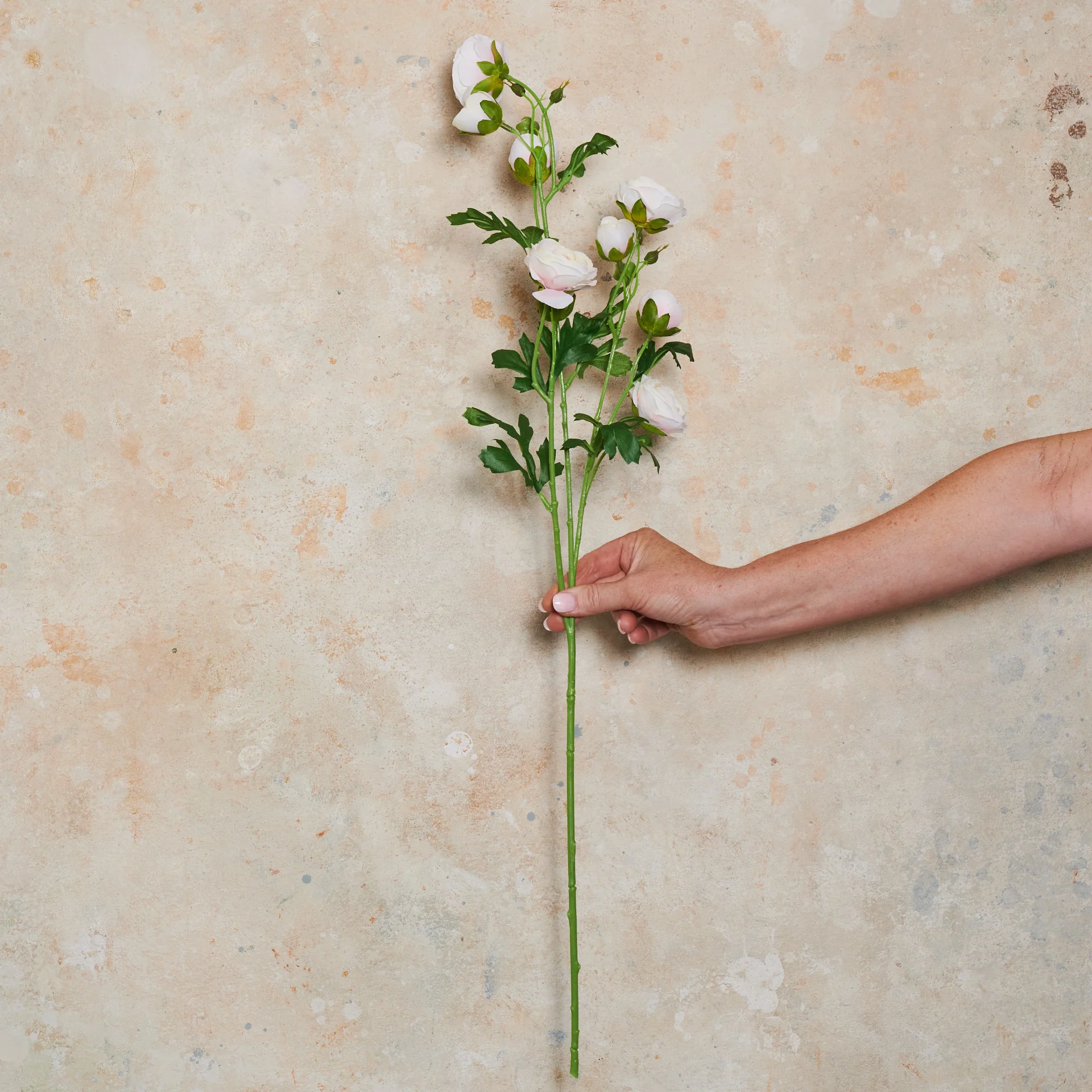 Ranunculus Wild Real Touch Flower Stem - Image 2