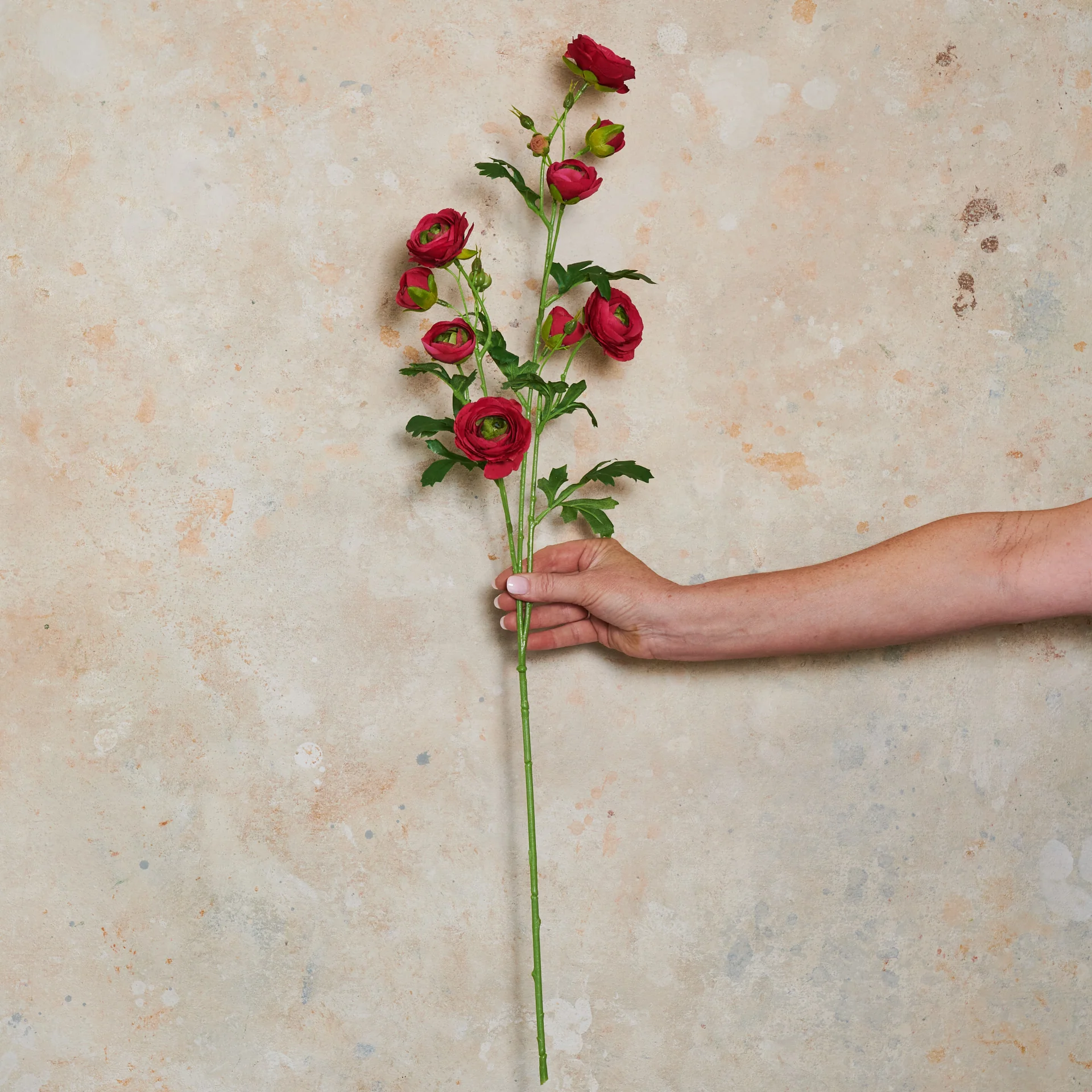 Ranunculus Wild Real Touch Flower Stem - Image 4