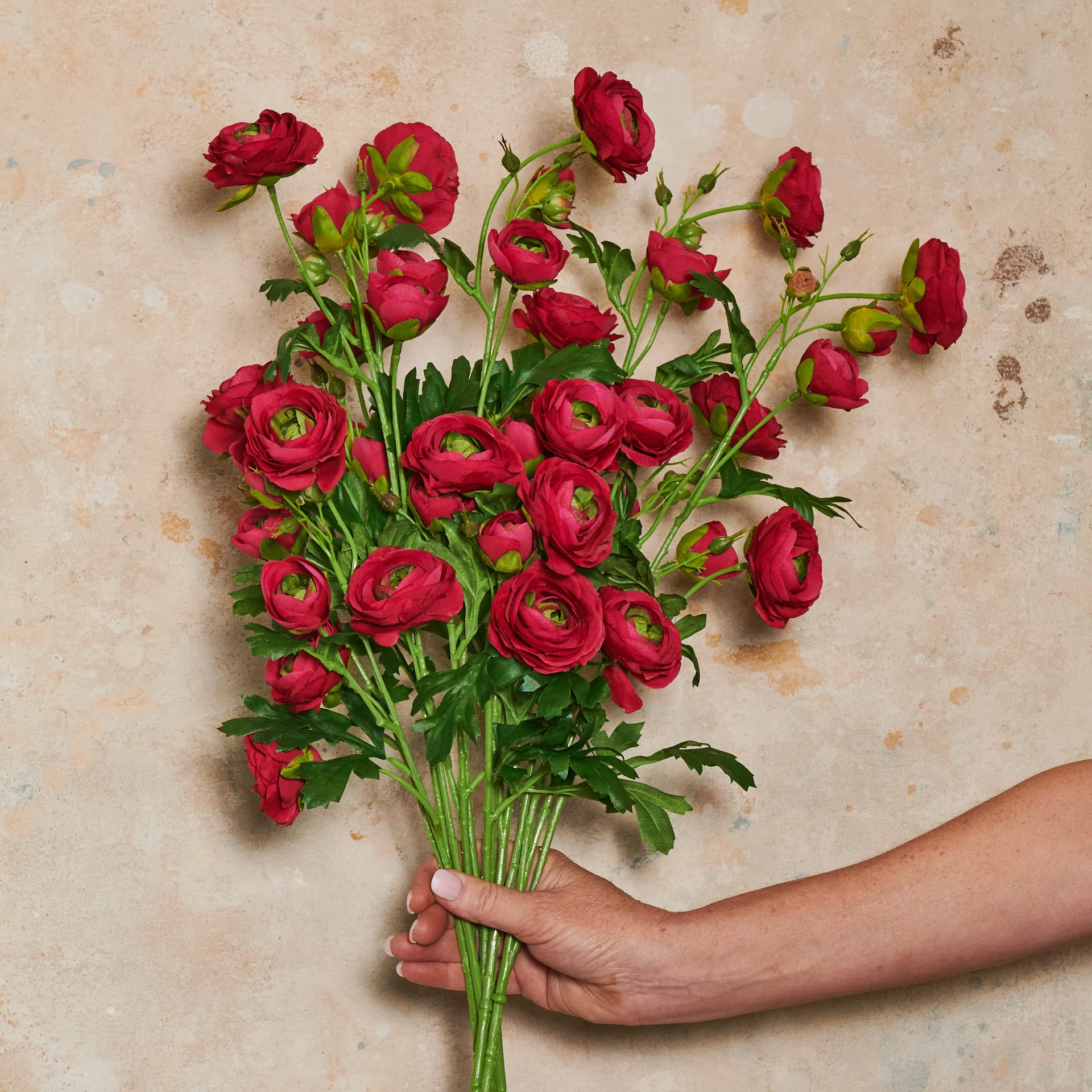 Ranunculus Wild Real Touch Flower Stem - Image 5