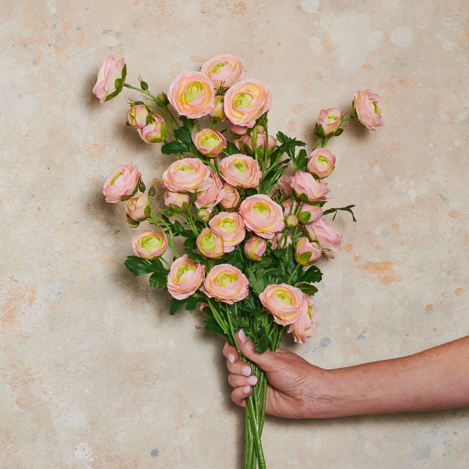 Ranunculus Wild Real Touch Flower Stem - Image 7