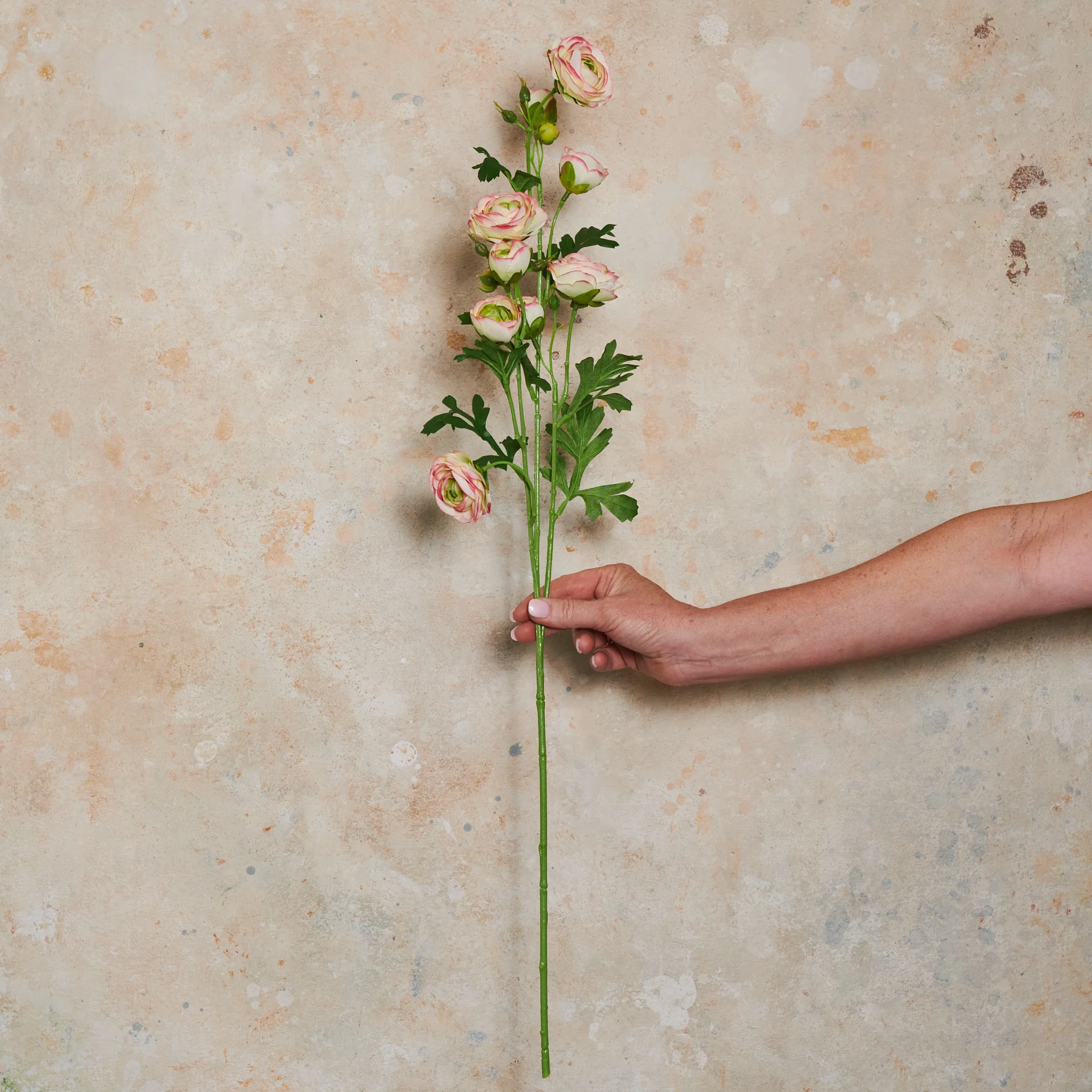 Ranunculus Wild Real Touch Flower Stem - Image 8