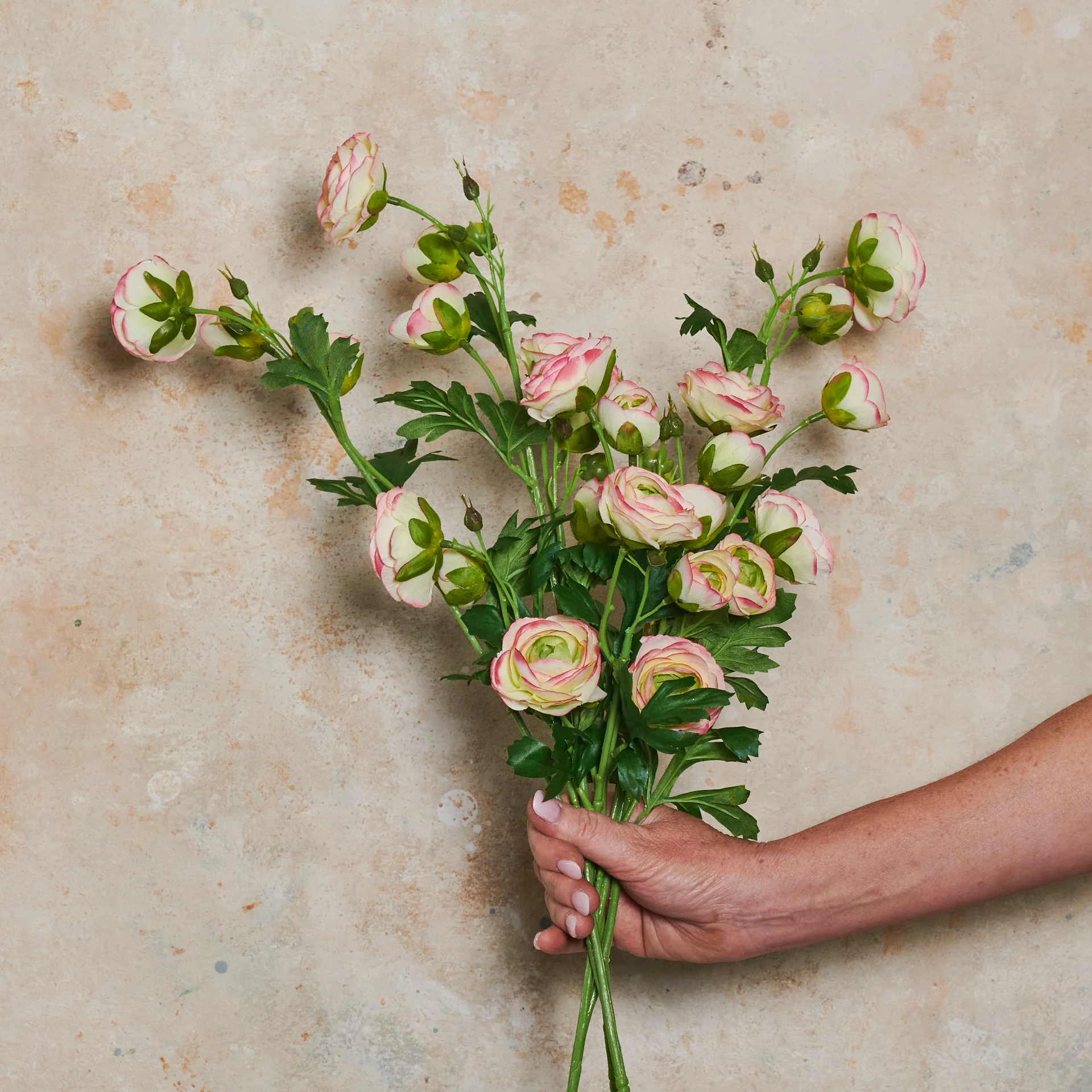 Ranunculus Wild Real Touch Flower Stem - Image 9