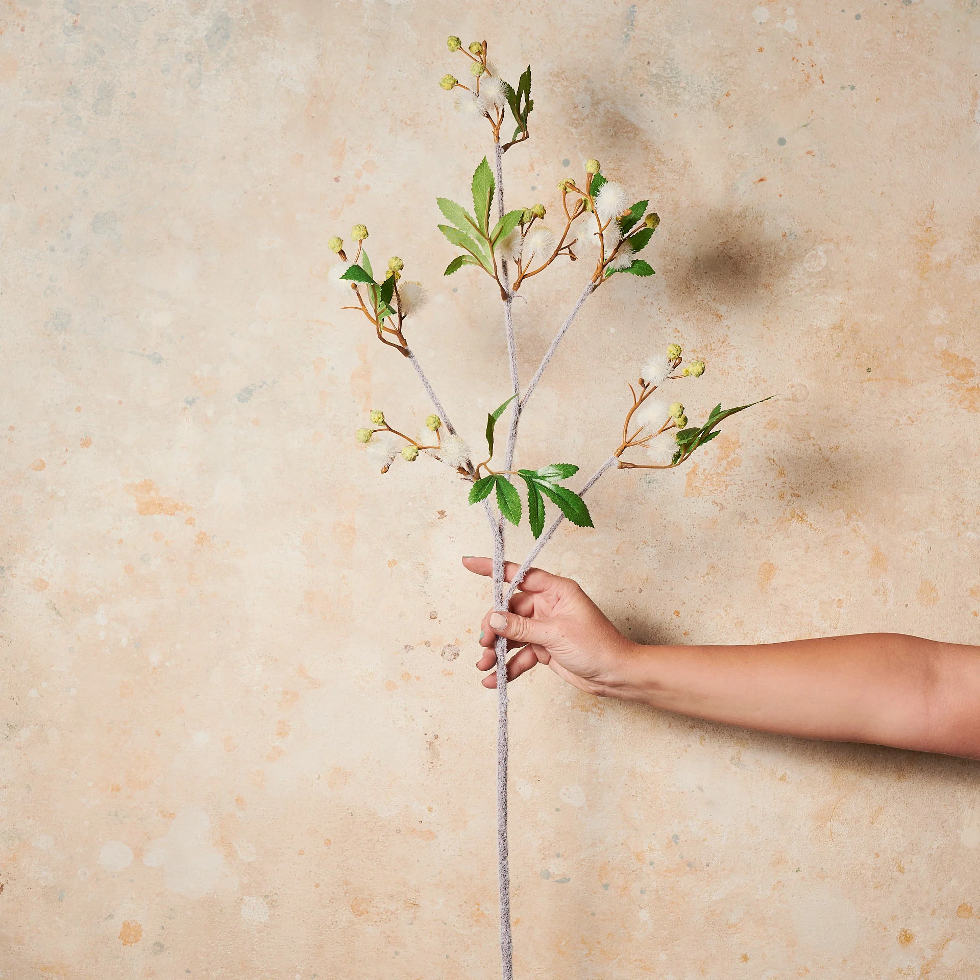 Blackwood Wattle Real Touch Flower Stem - Image 3