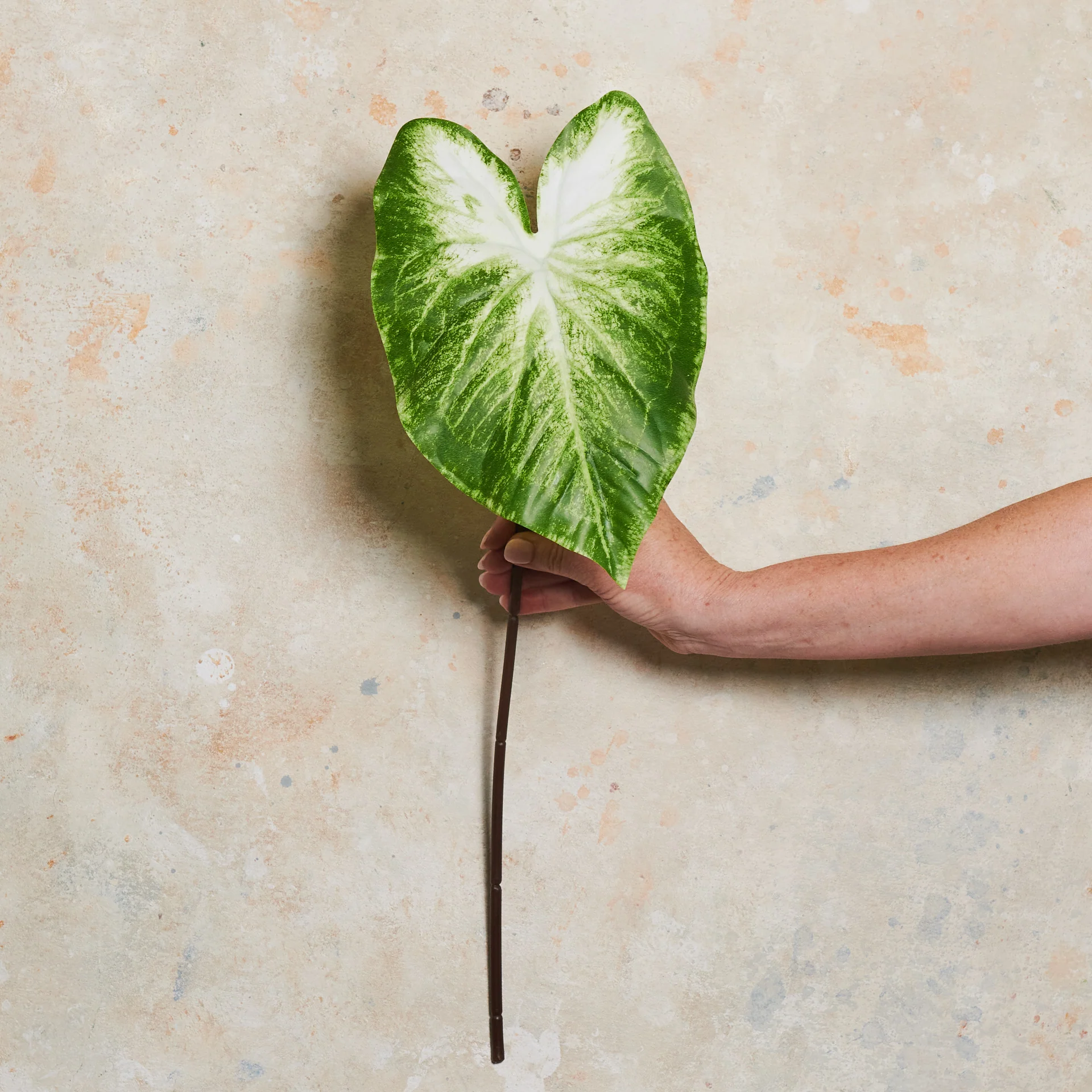 Calla Lily Leaf Real Touch Stem - Image 3