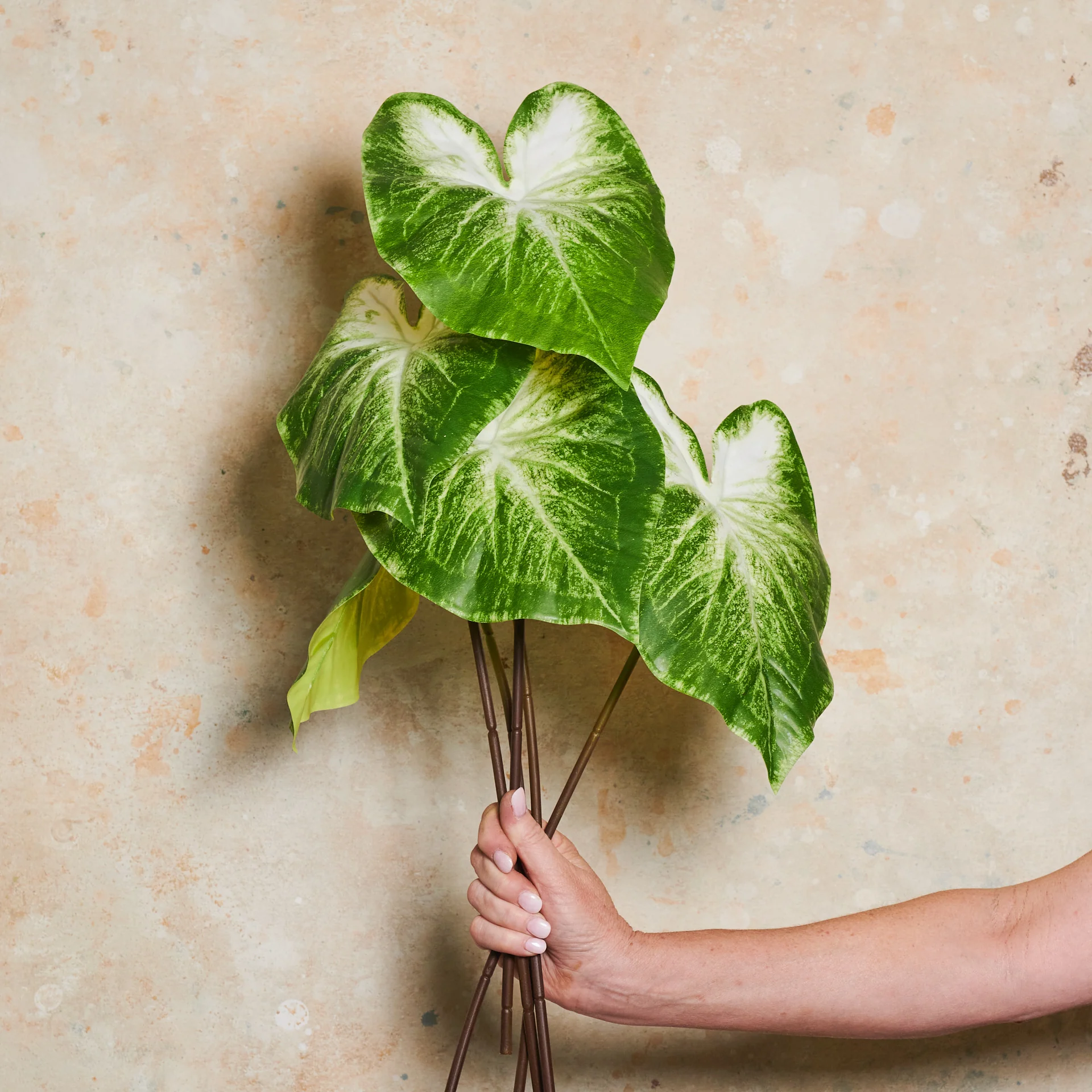 Calla Lily Leaf Real Touch Stem - Image 4