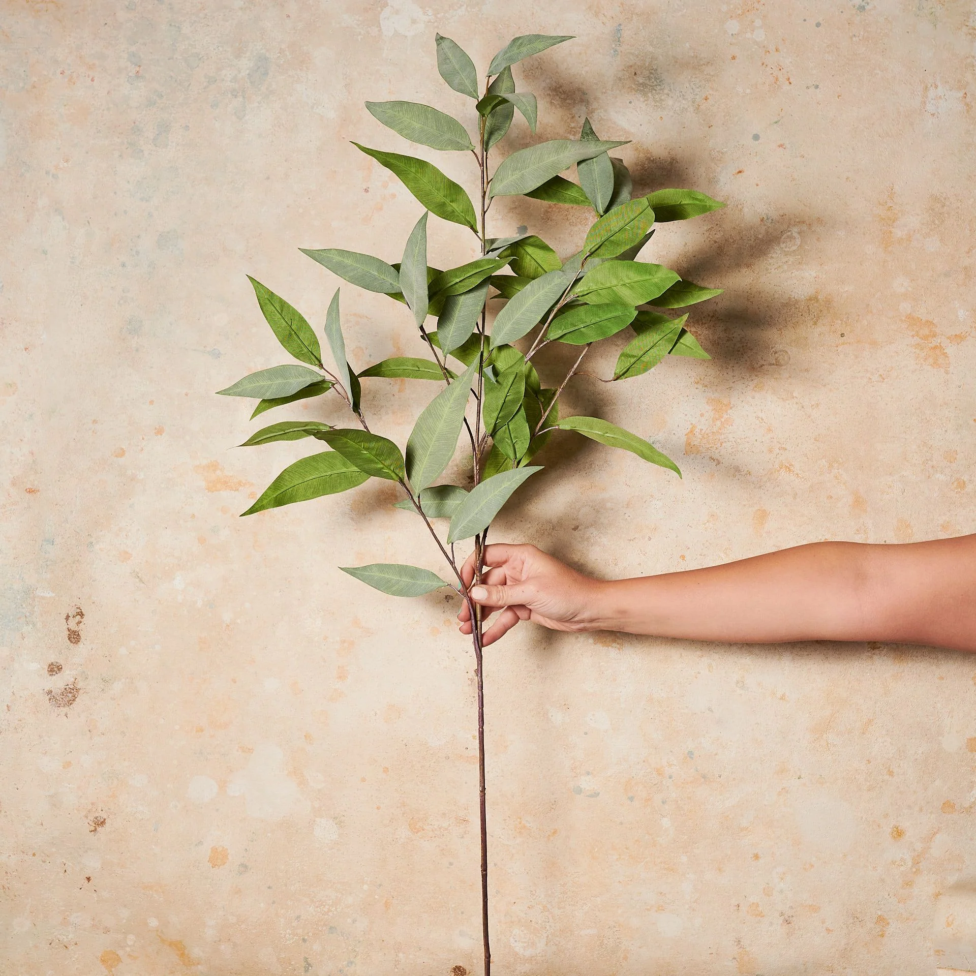Drew Eucalyptus Spray Leaf Real Touch Stem - Image 2