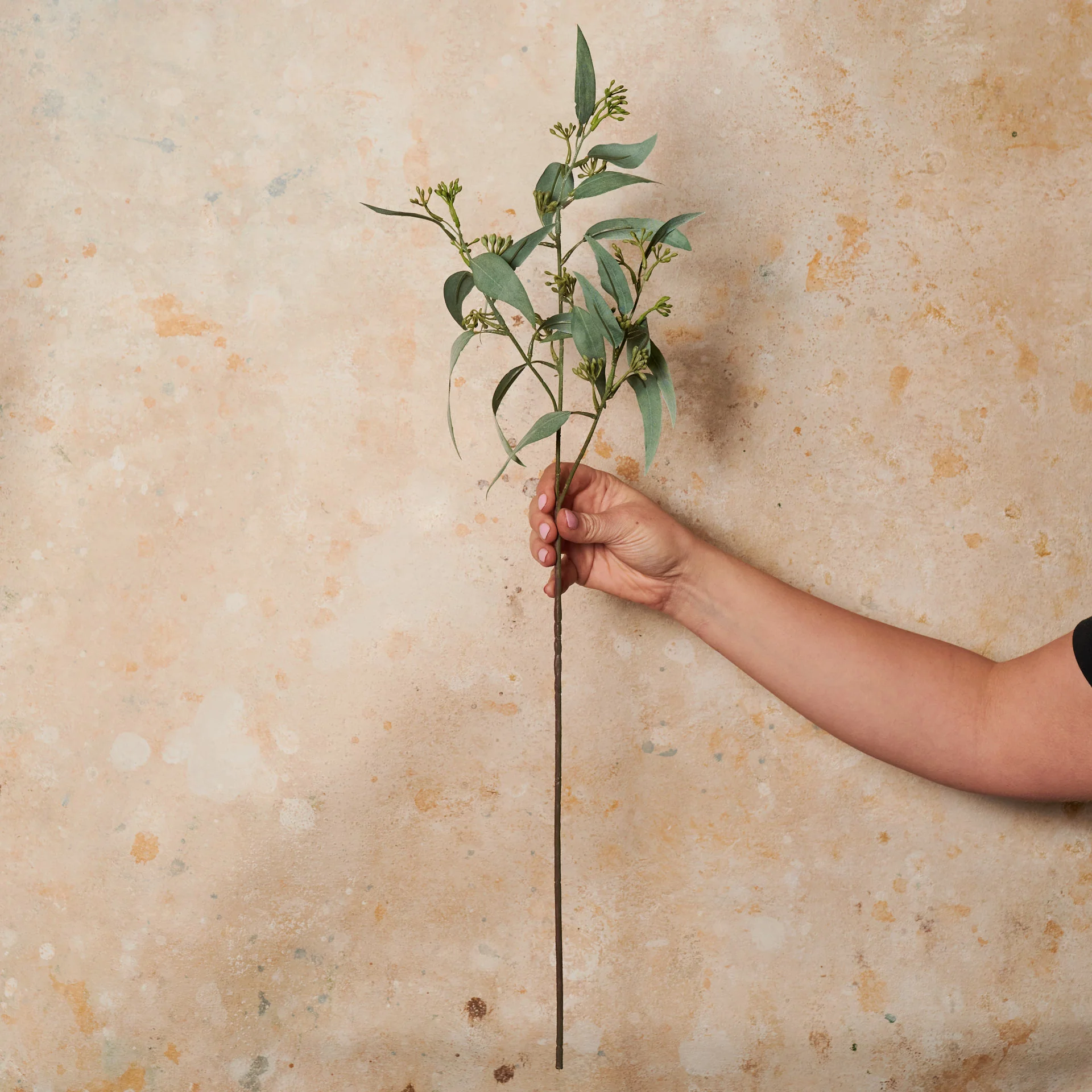 Eucalyptus Seed Leaf Real Touch Stem - Image 2