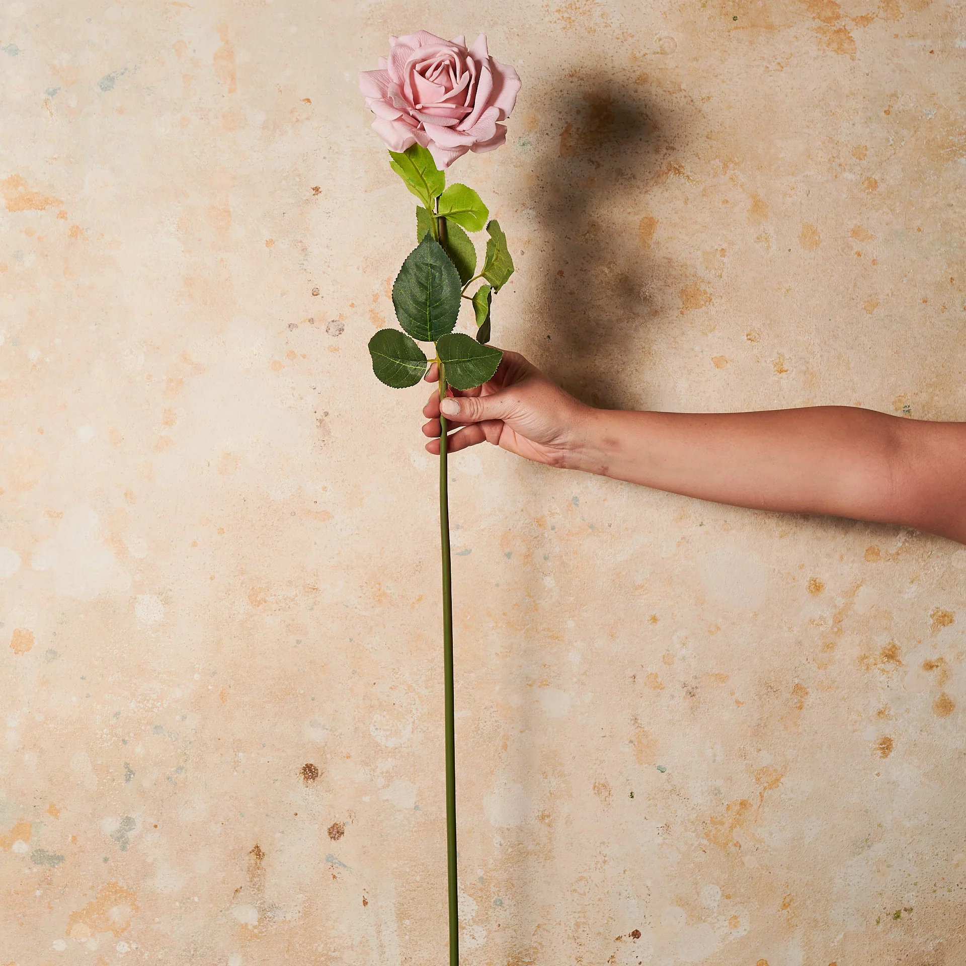 Rose Hannah Real Touch Flower Stem - Image 10