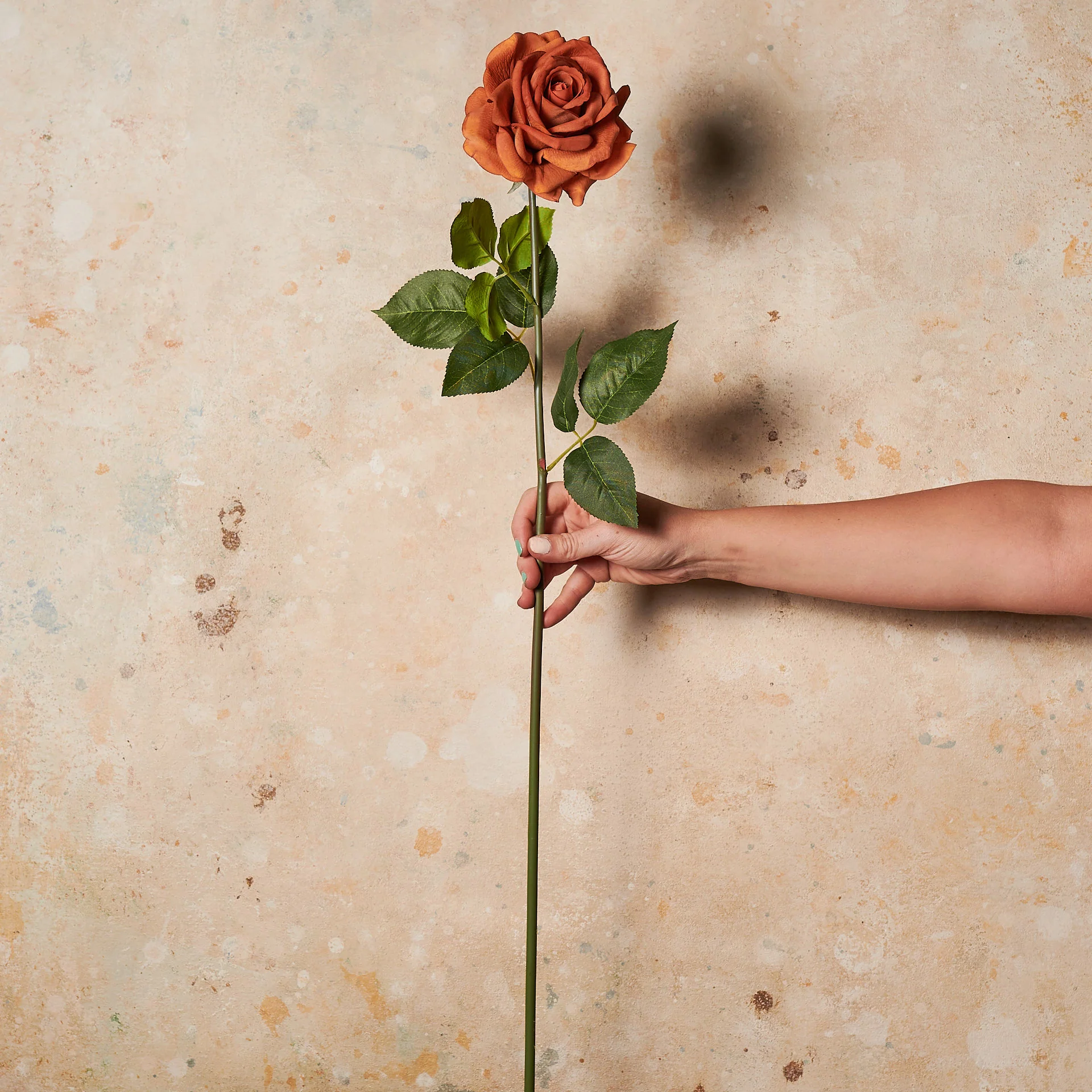 Rose Hannah Real Touch Flower Stem - Image 11