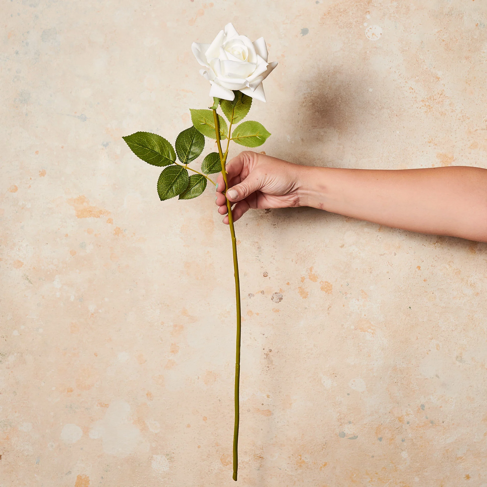 Rose Hannah Real Touch Flower Stem - Image 12