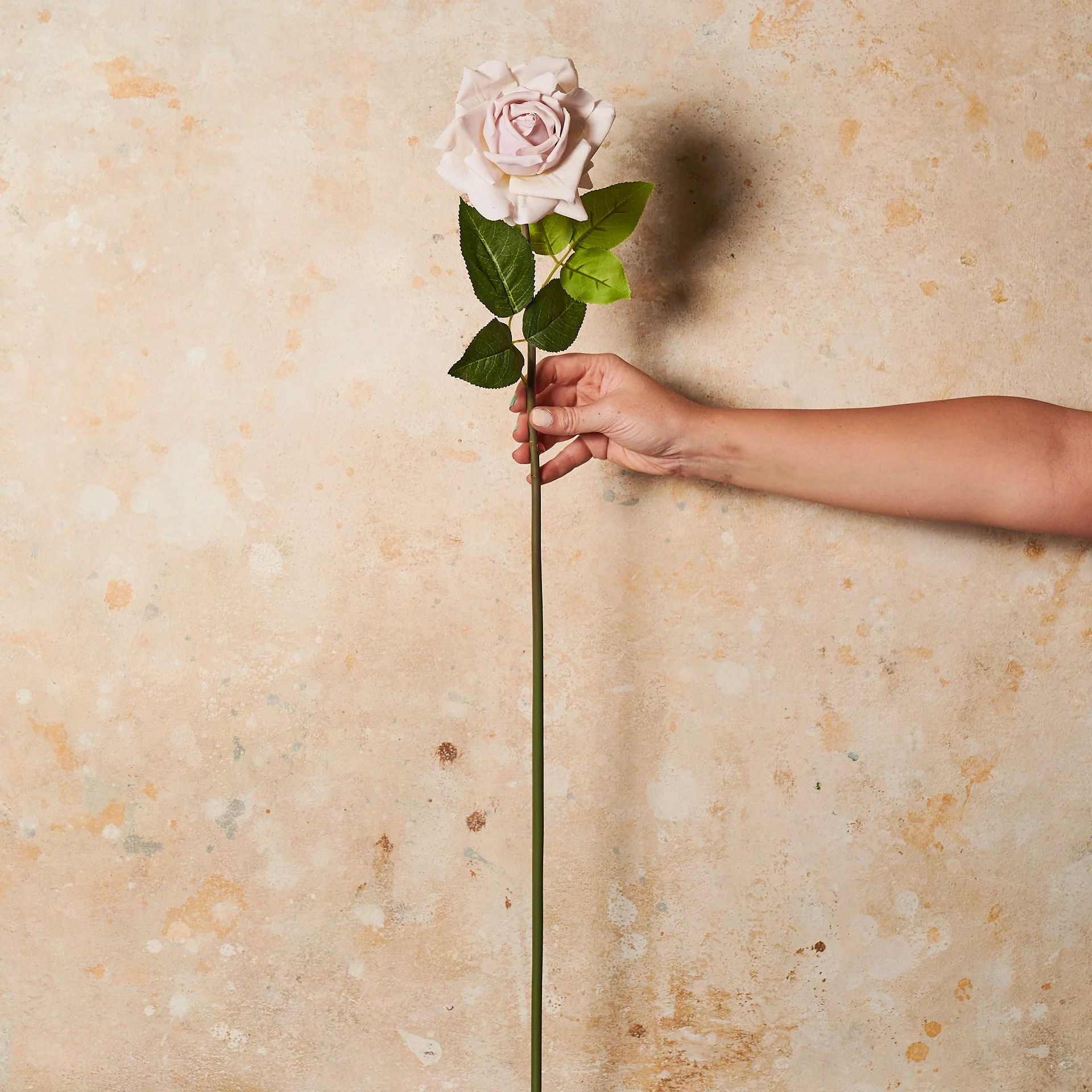 Rose Hannah Real Touch Flower Stem - Image 13